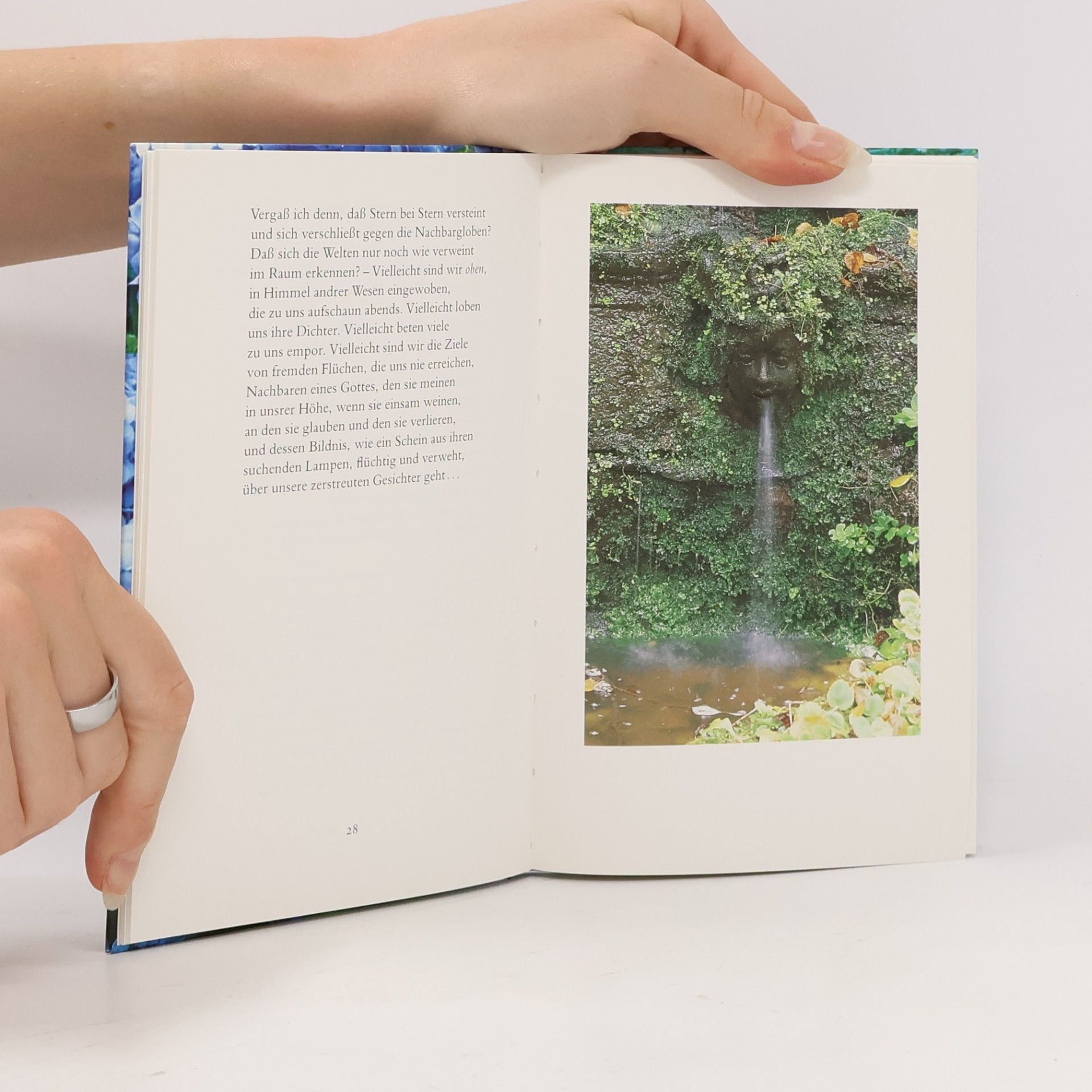 Rainer Maria Rilke Insel-Bücherei - 1377: In einem fremden Park