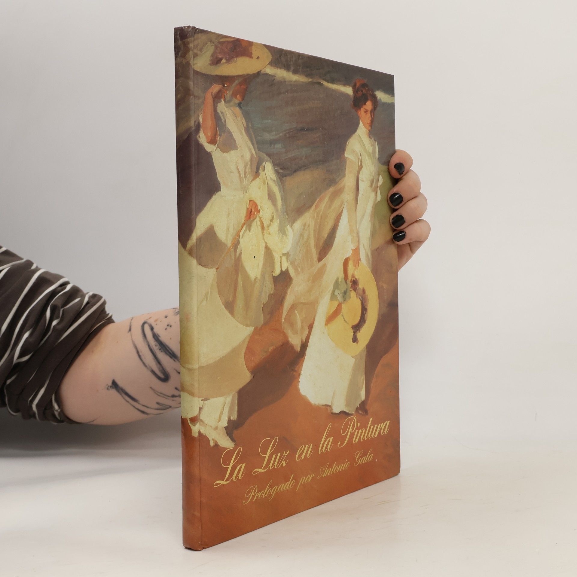 La luz en la pintura