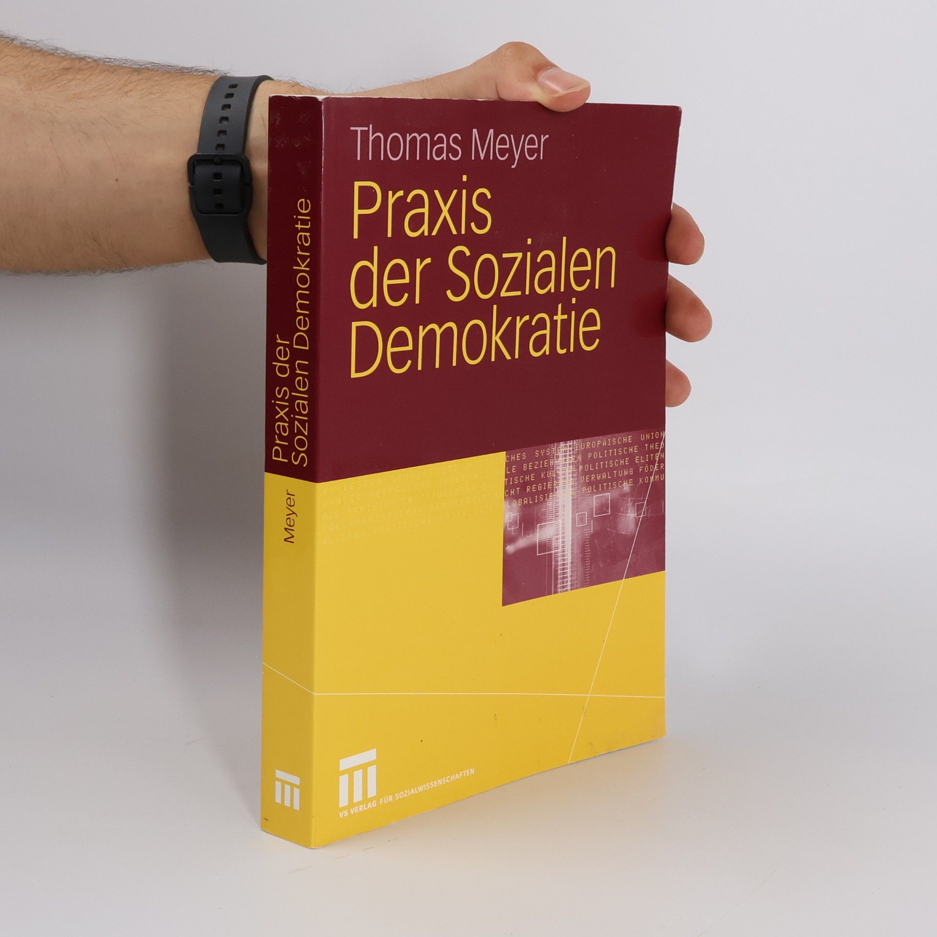 Praxis der sozialen Demokratie