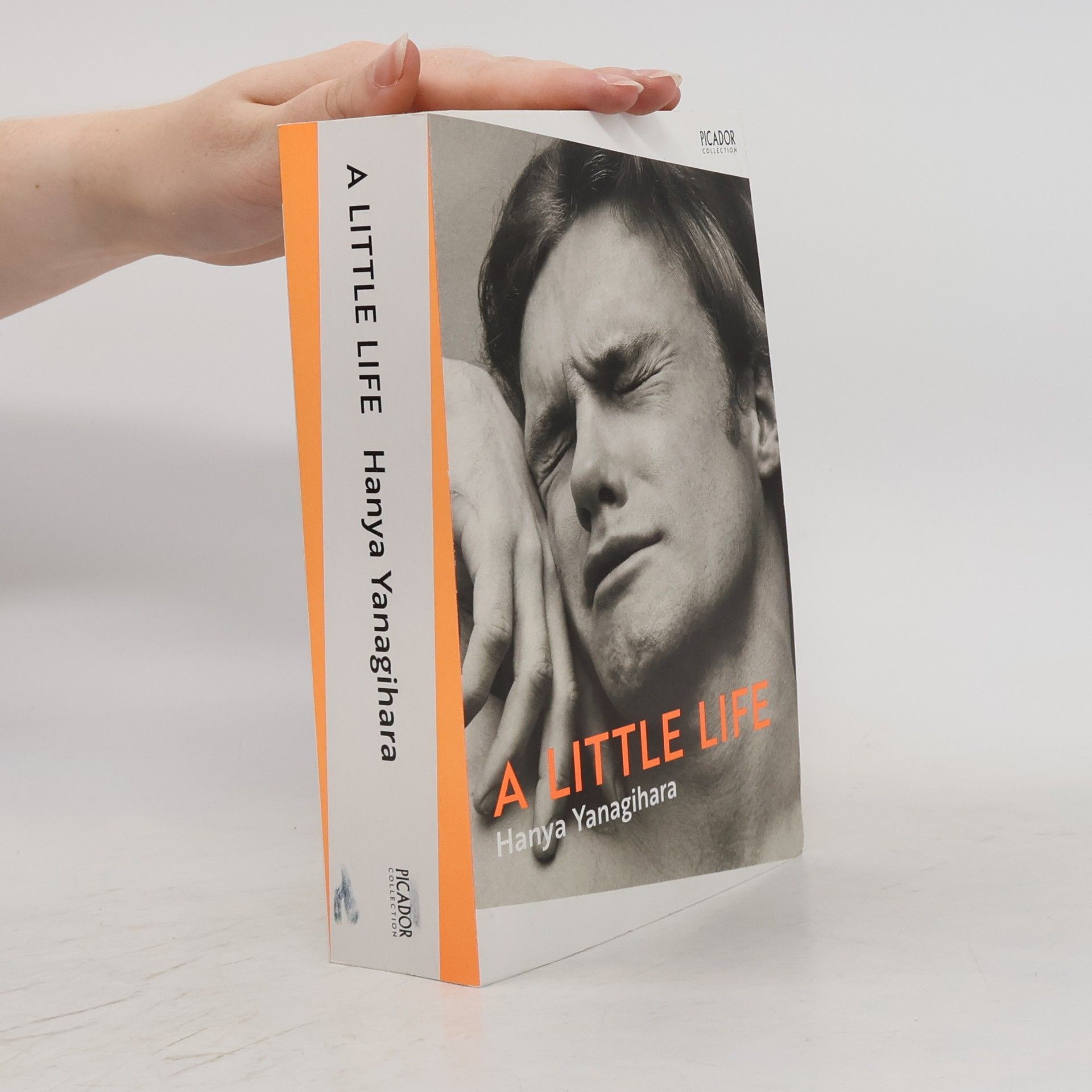 Hanya Yanagihara A Little Life
