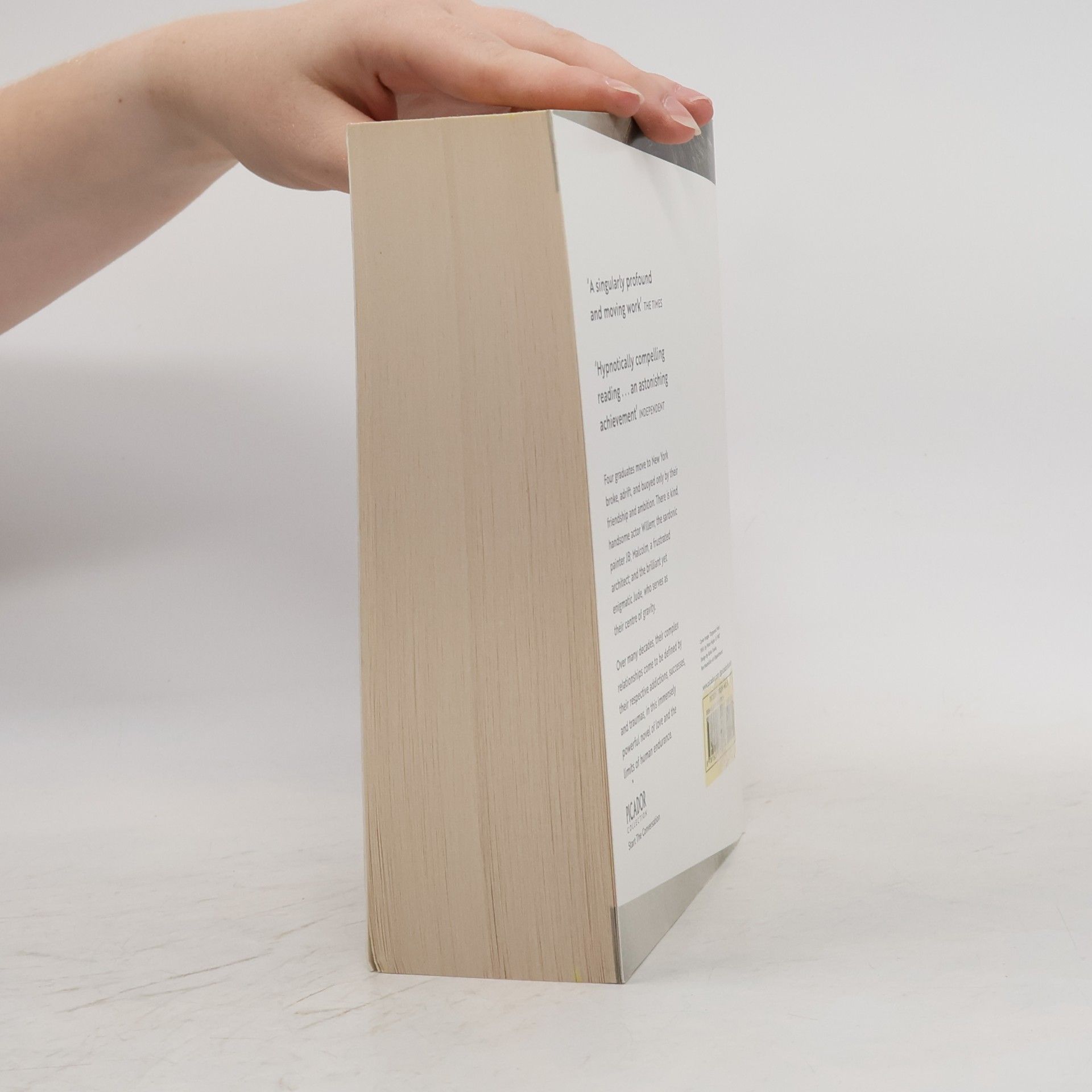 Hanya Yanagihara A Little Life