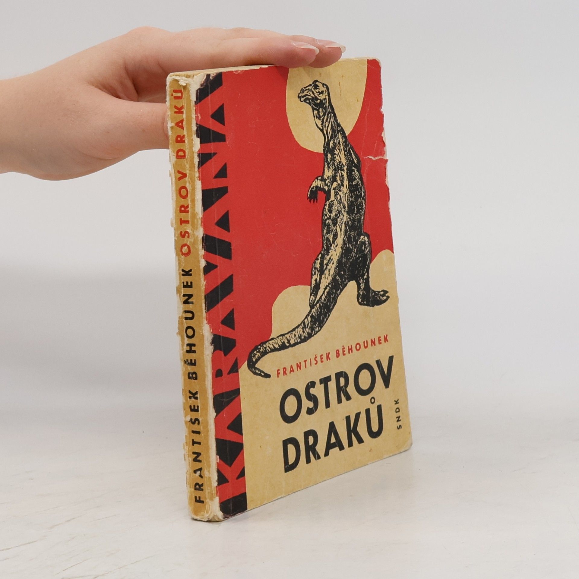 Ostrov draků