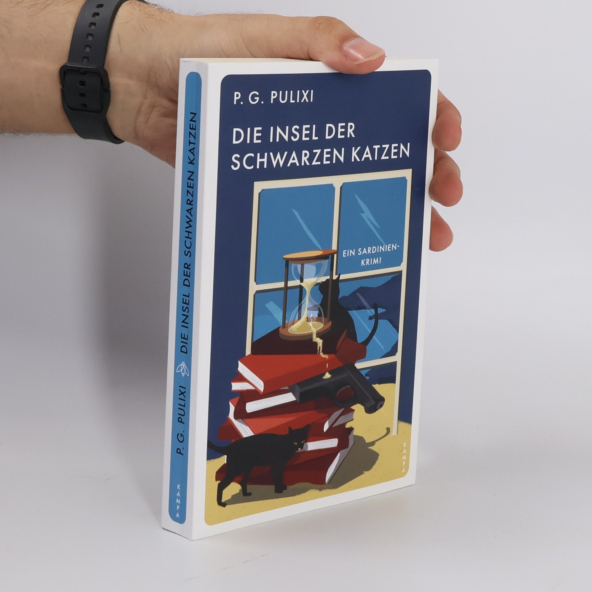 Piergiorgio Pulixi Die Insel der schwarzen Katzen