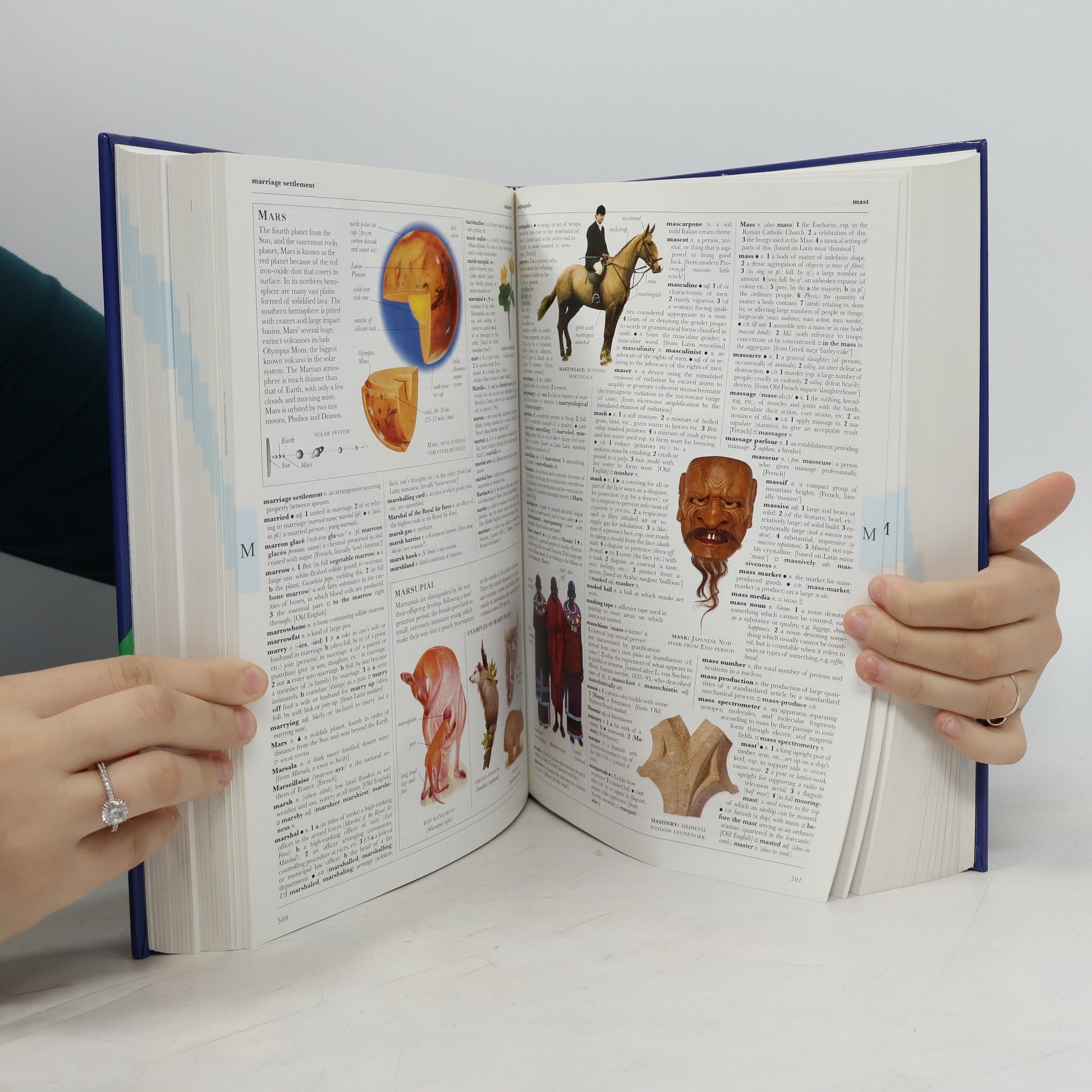AA.VV. Illustrated Oxford dictionary