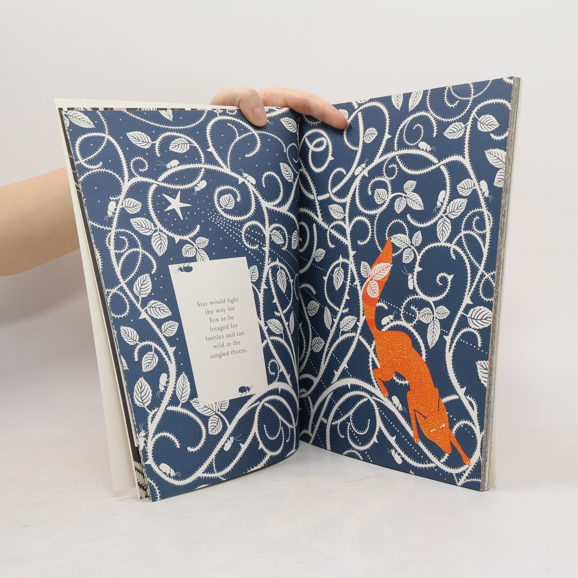 Coralie Bickford-Smith The Fox and the Star