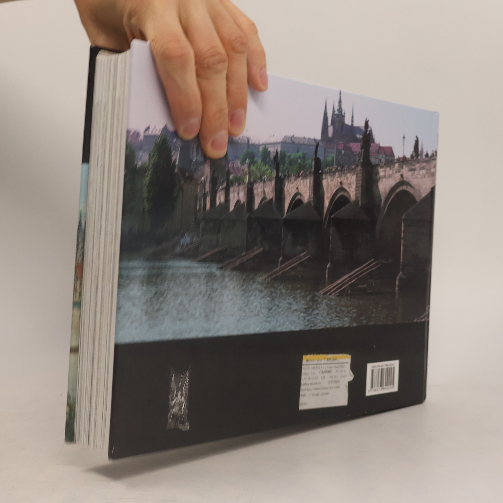Autorenkollektiv Karlův most