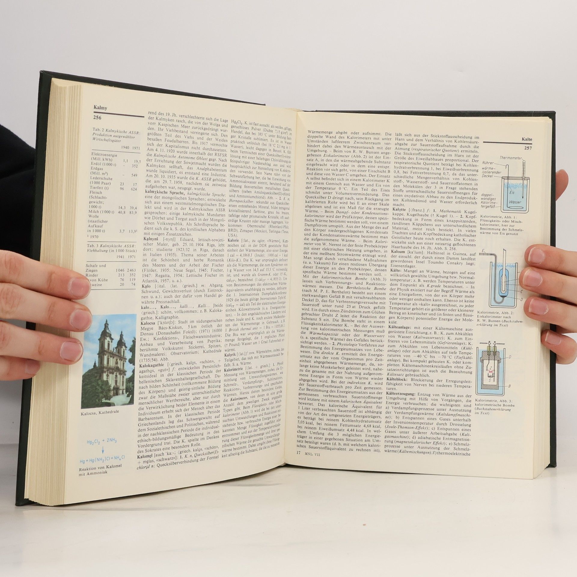 Autorenkollektiv Meyers Neues Lexikon 7