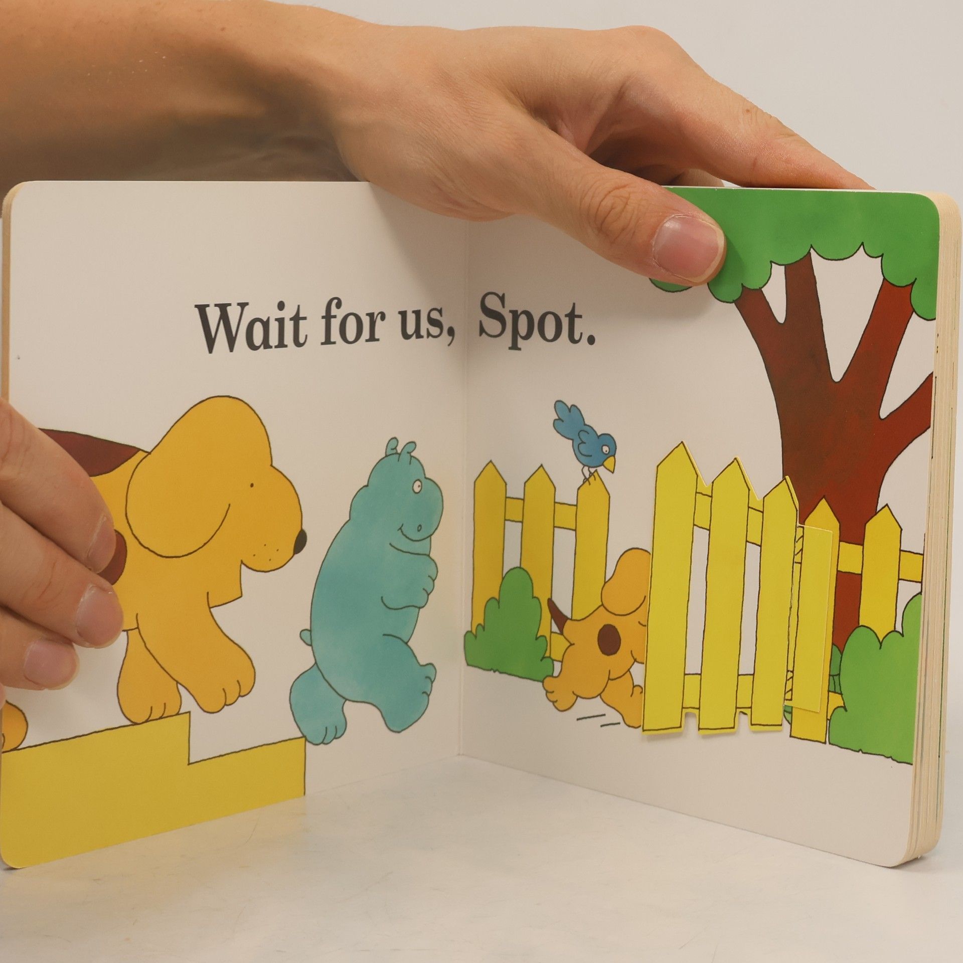 Eric Hill Spot the Dog: Spot Goes to the Park