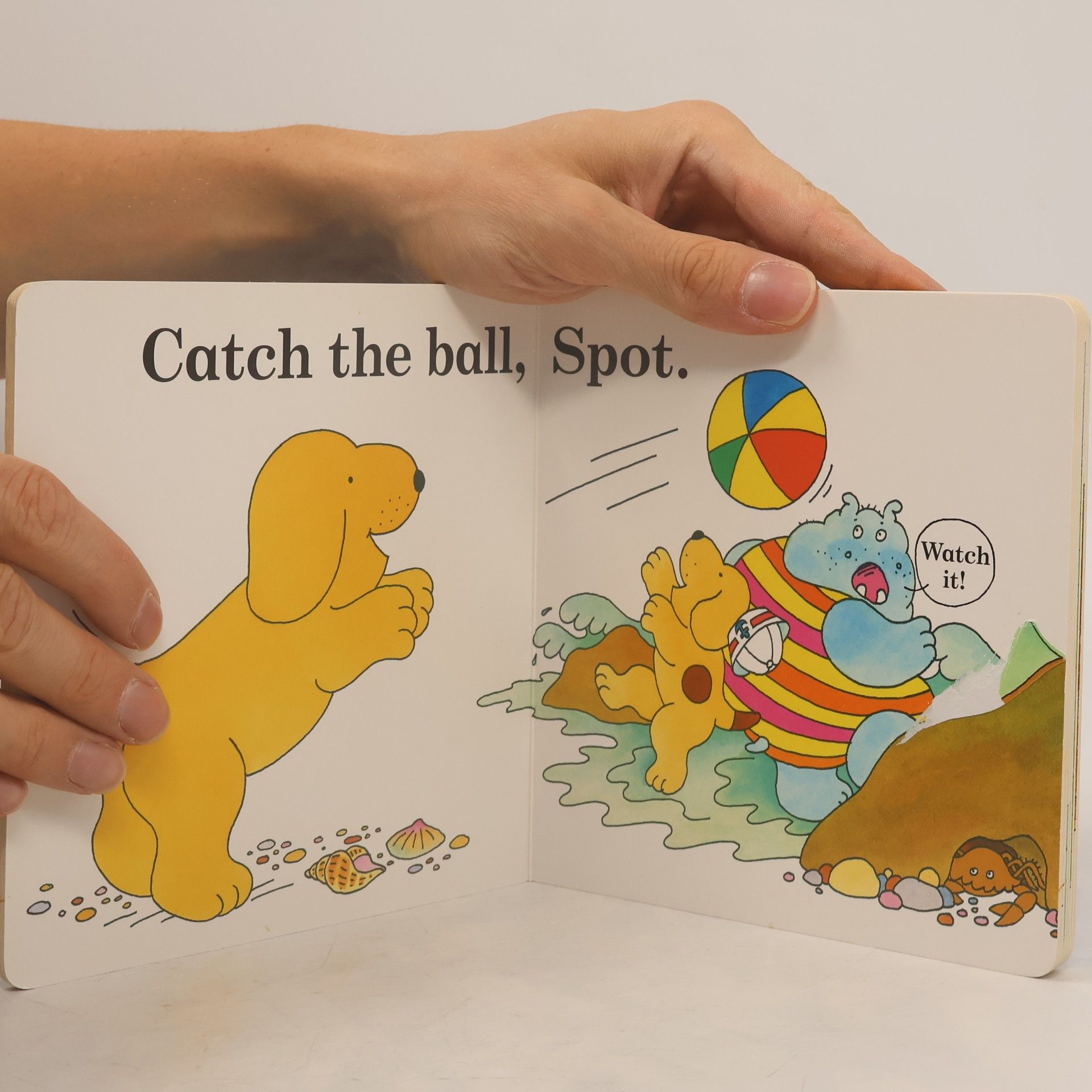 Eric Hill Spot Goes on Holiday