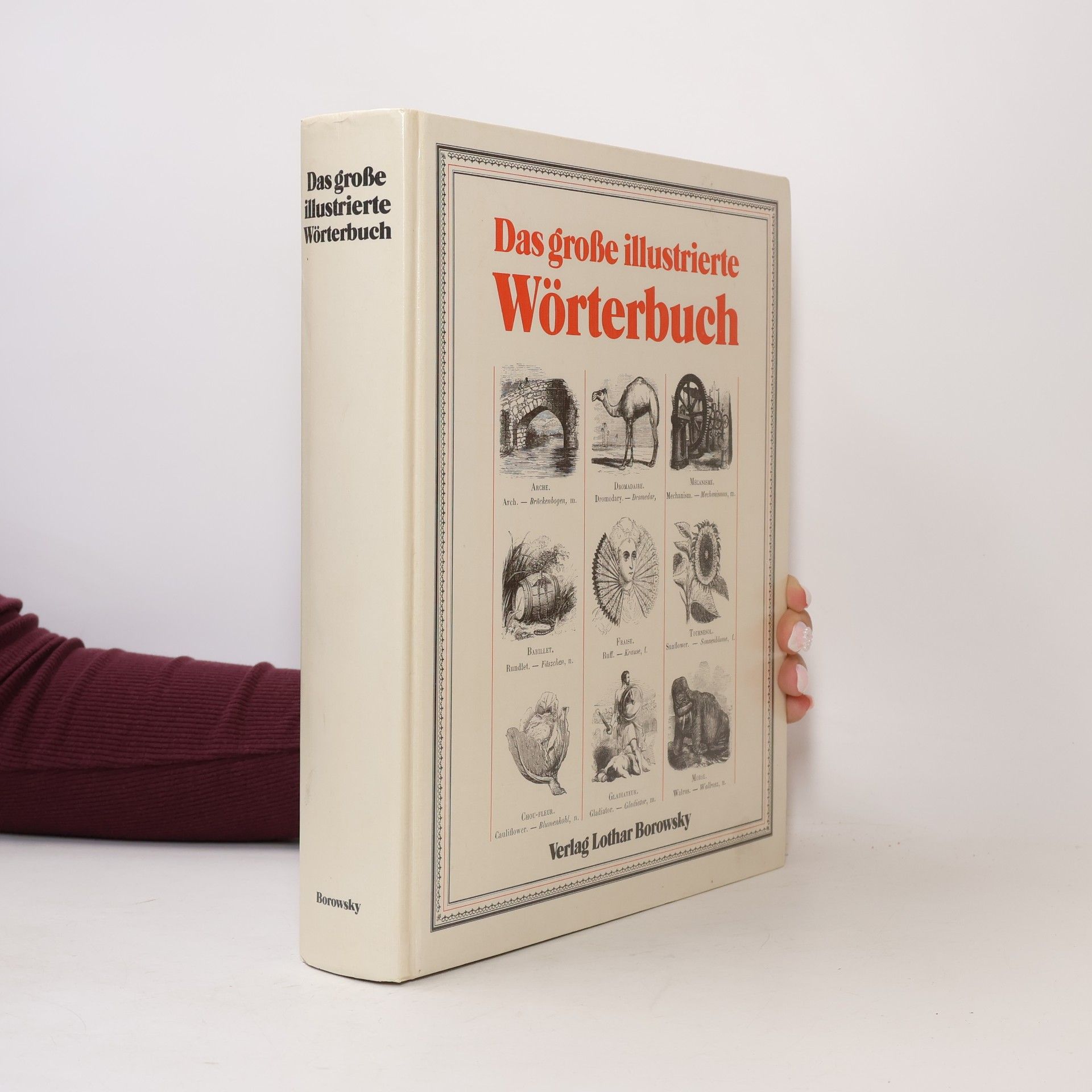 Collectif d'auteurs Das große illustrierte Wörterbuch