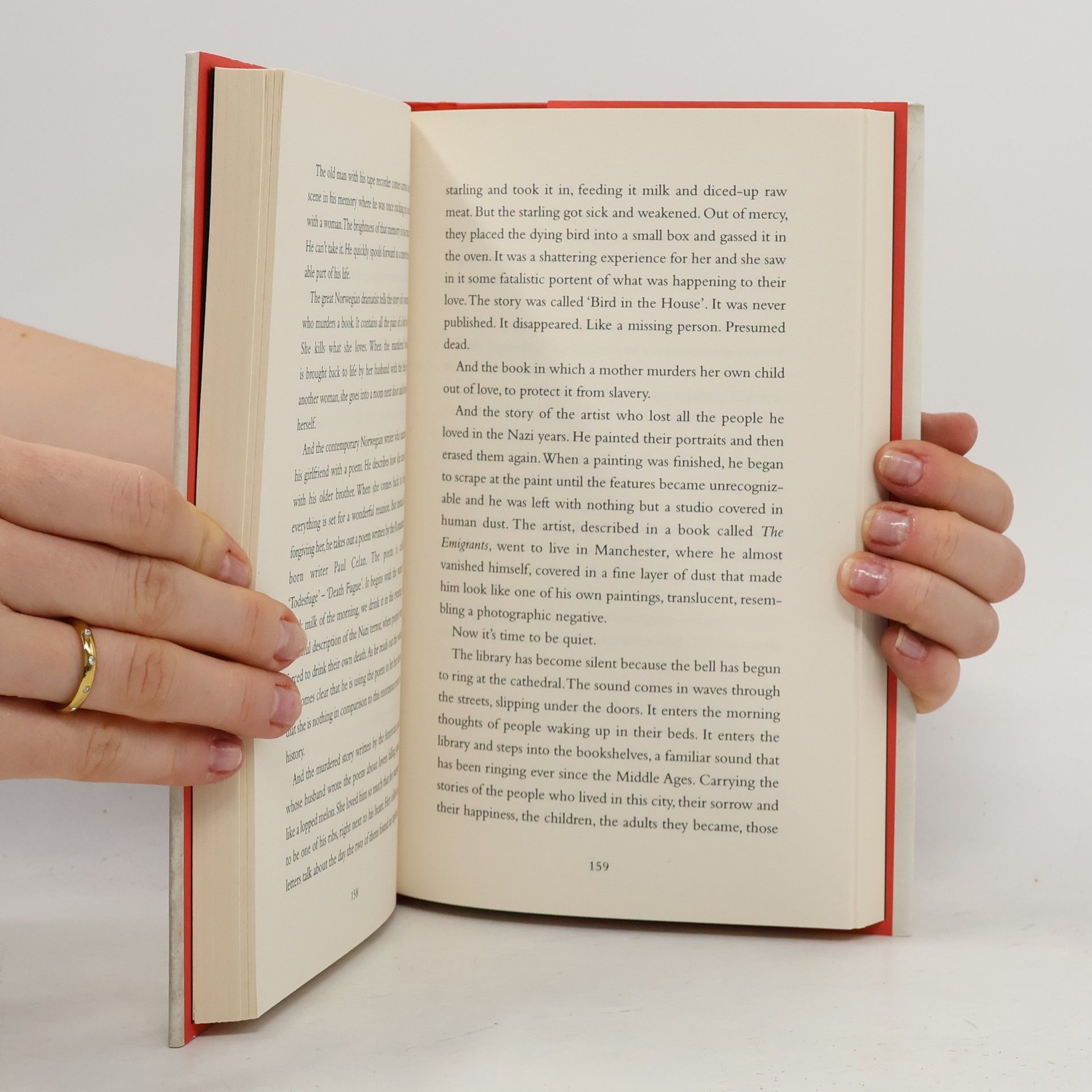 Hugo Hamilton The Pages