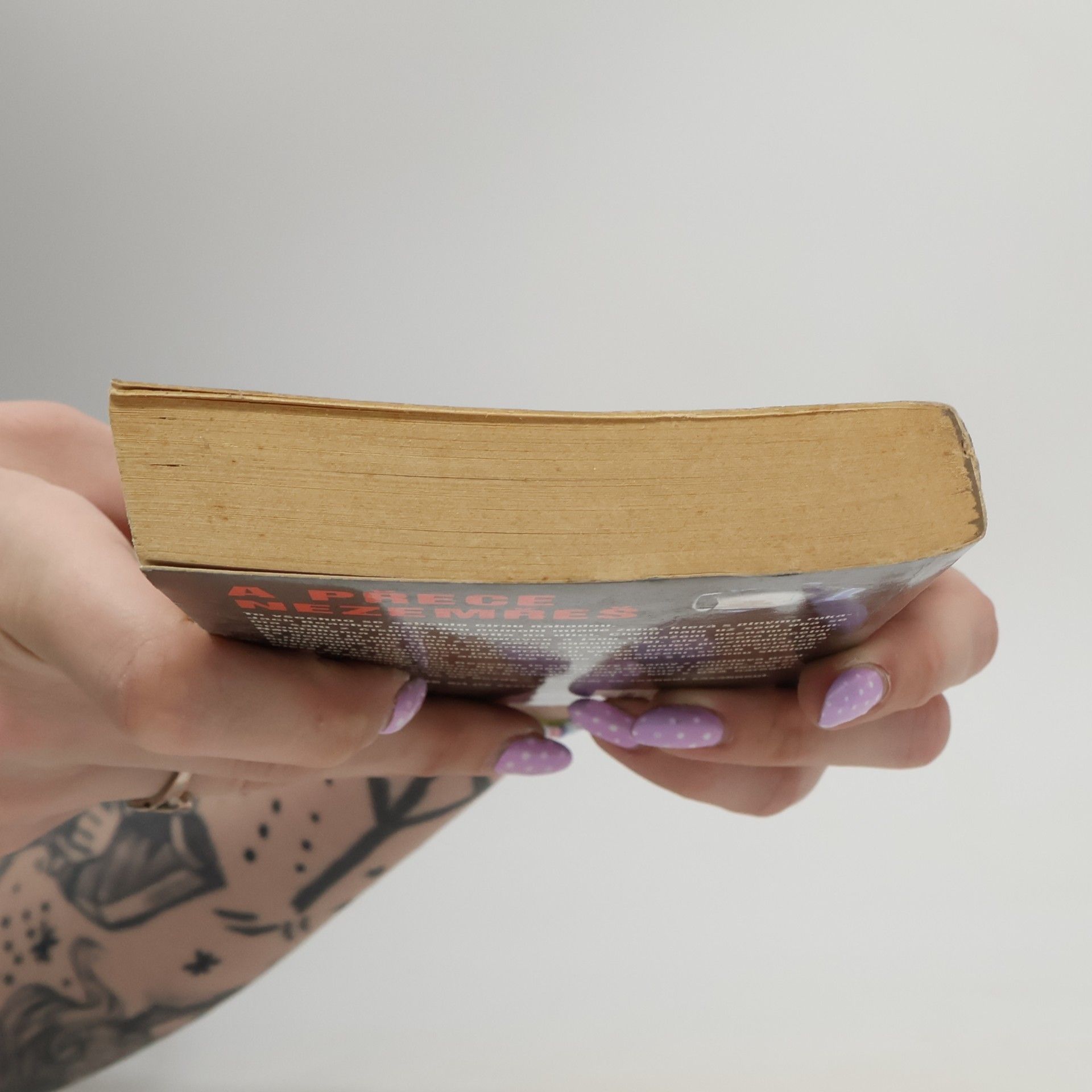 Lee Child A přece nezemřeš