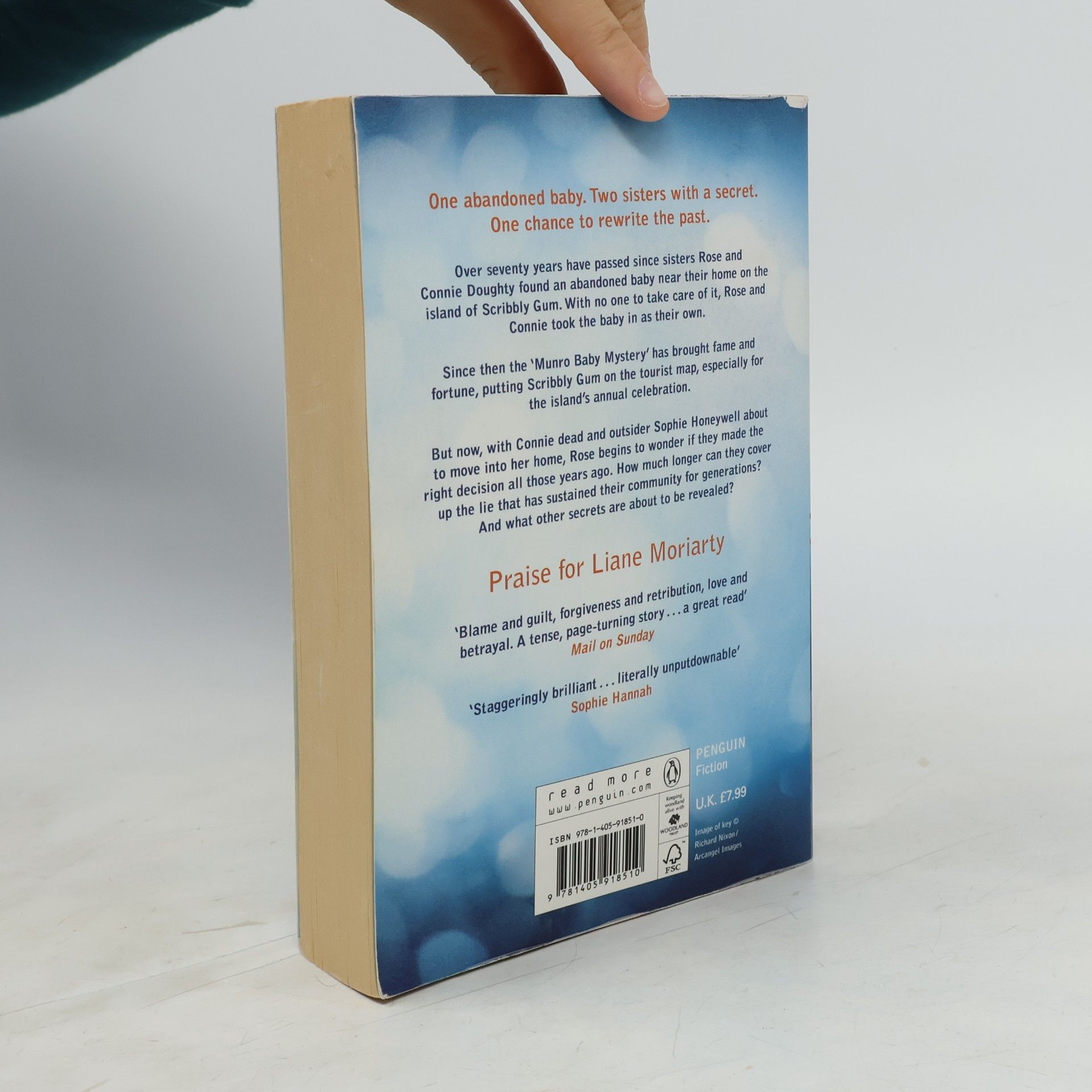 Liane Moriarty The last anniversary