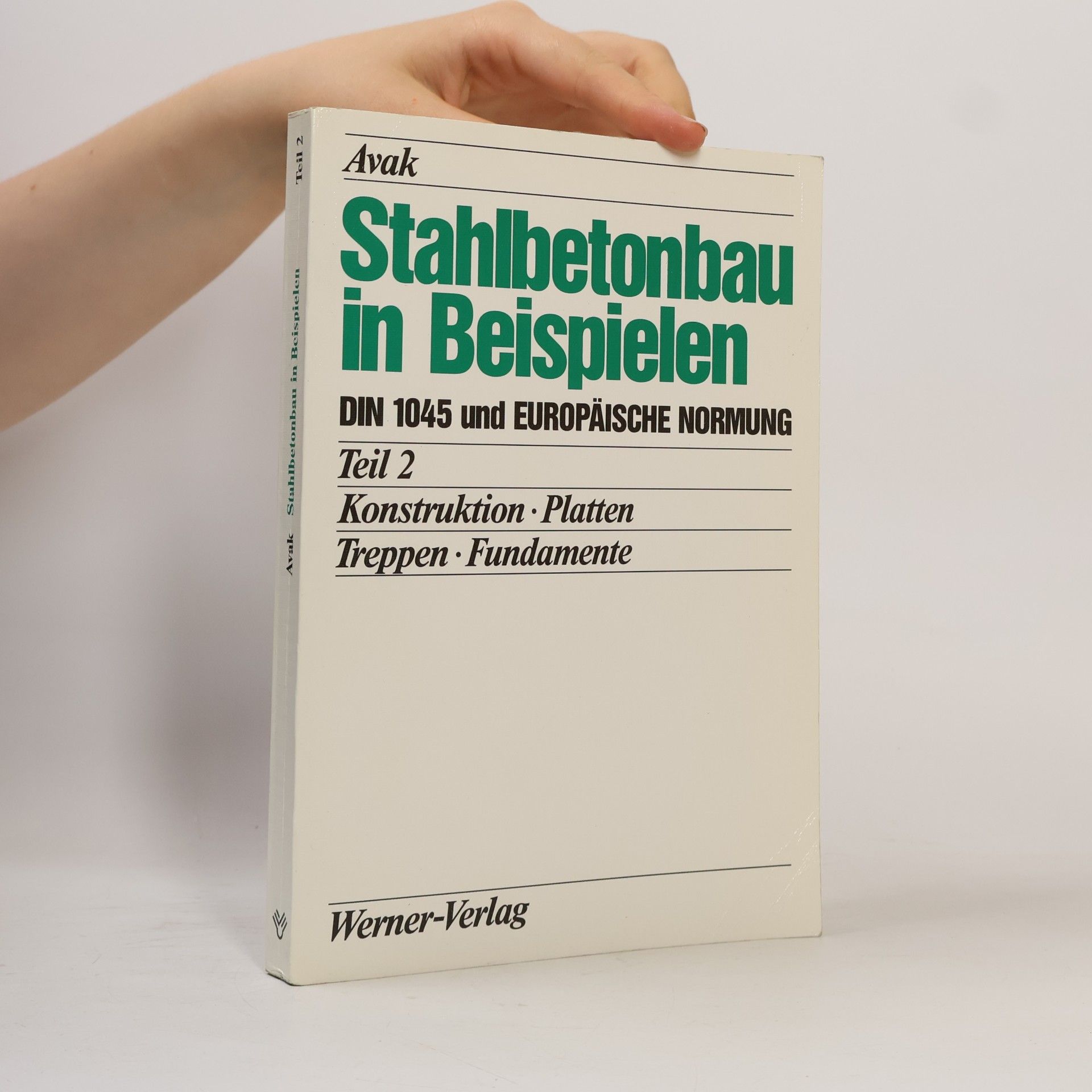 Stahlbetonbau in Beispielen