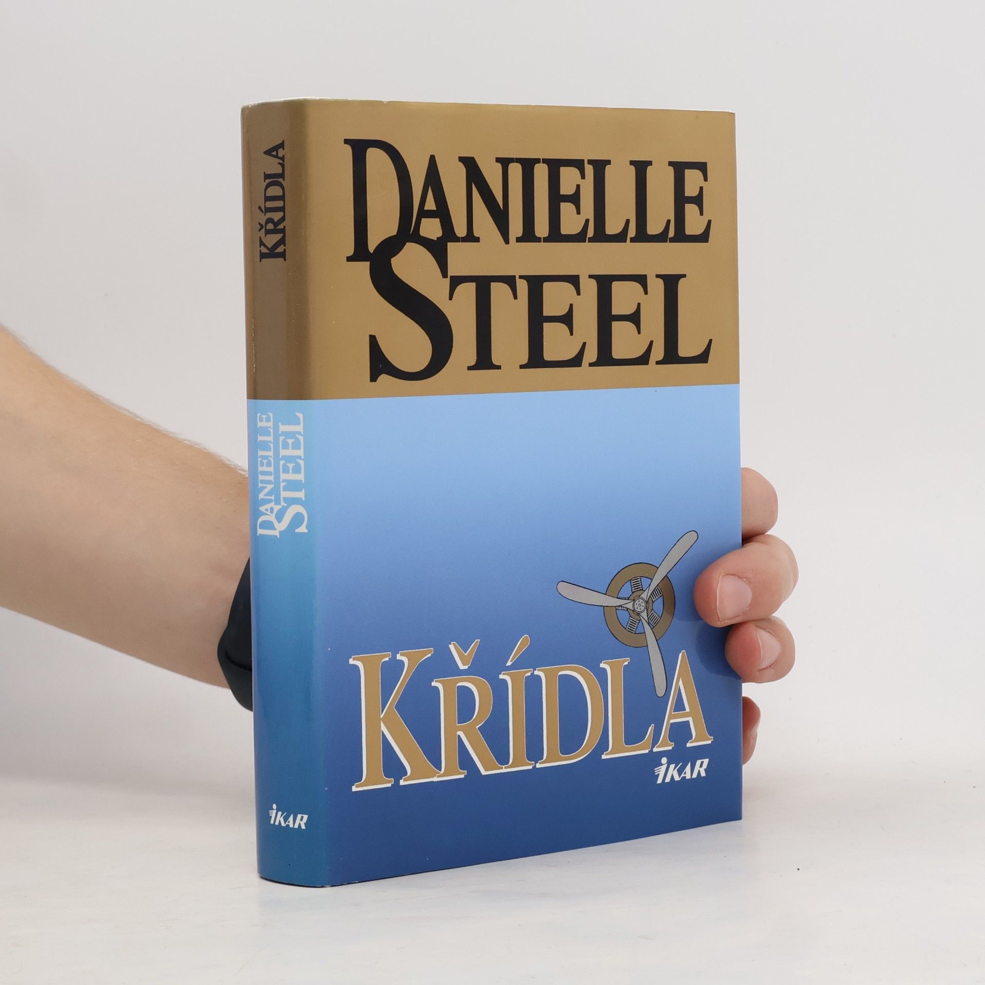 Danielle Steel Křídla