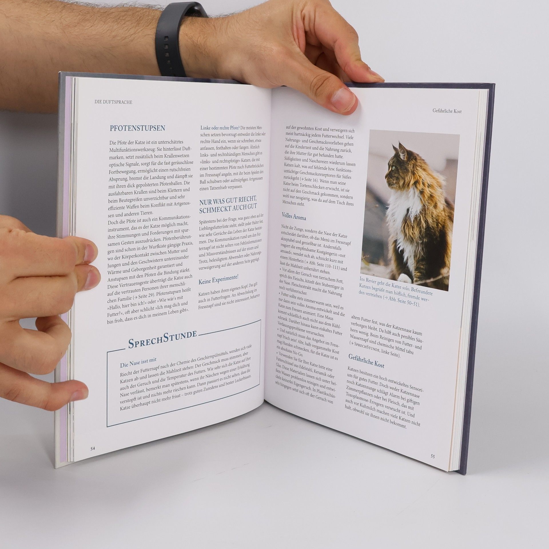 Gerd Ludwig Katzen-Sprache