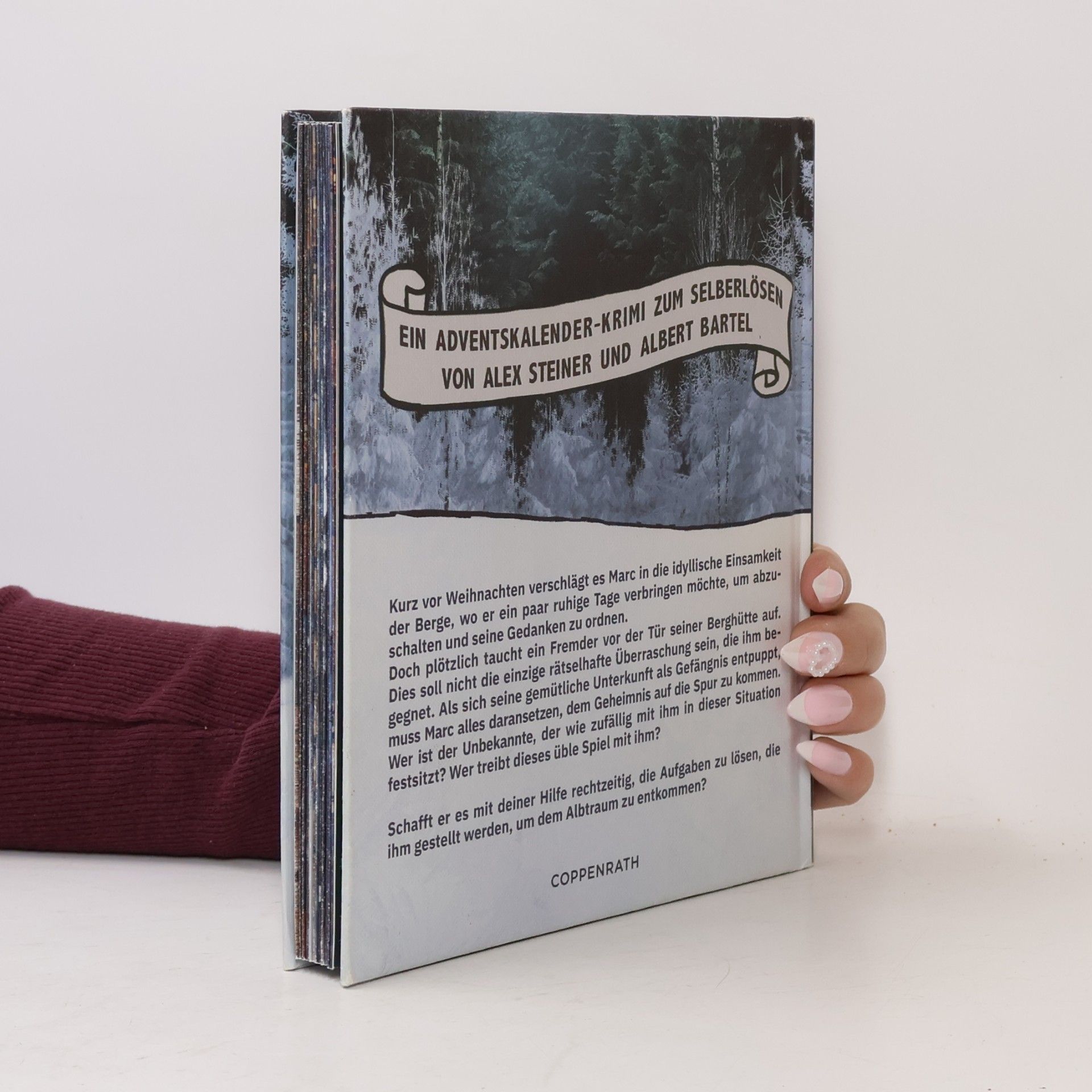 Alex Steiner Escape Room - Die einsame Berghütte. Adventskalenderbuch mit Ausklappseiten