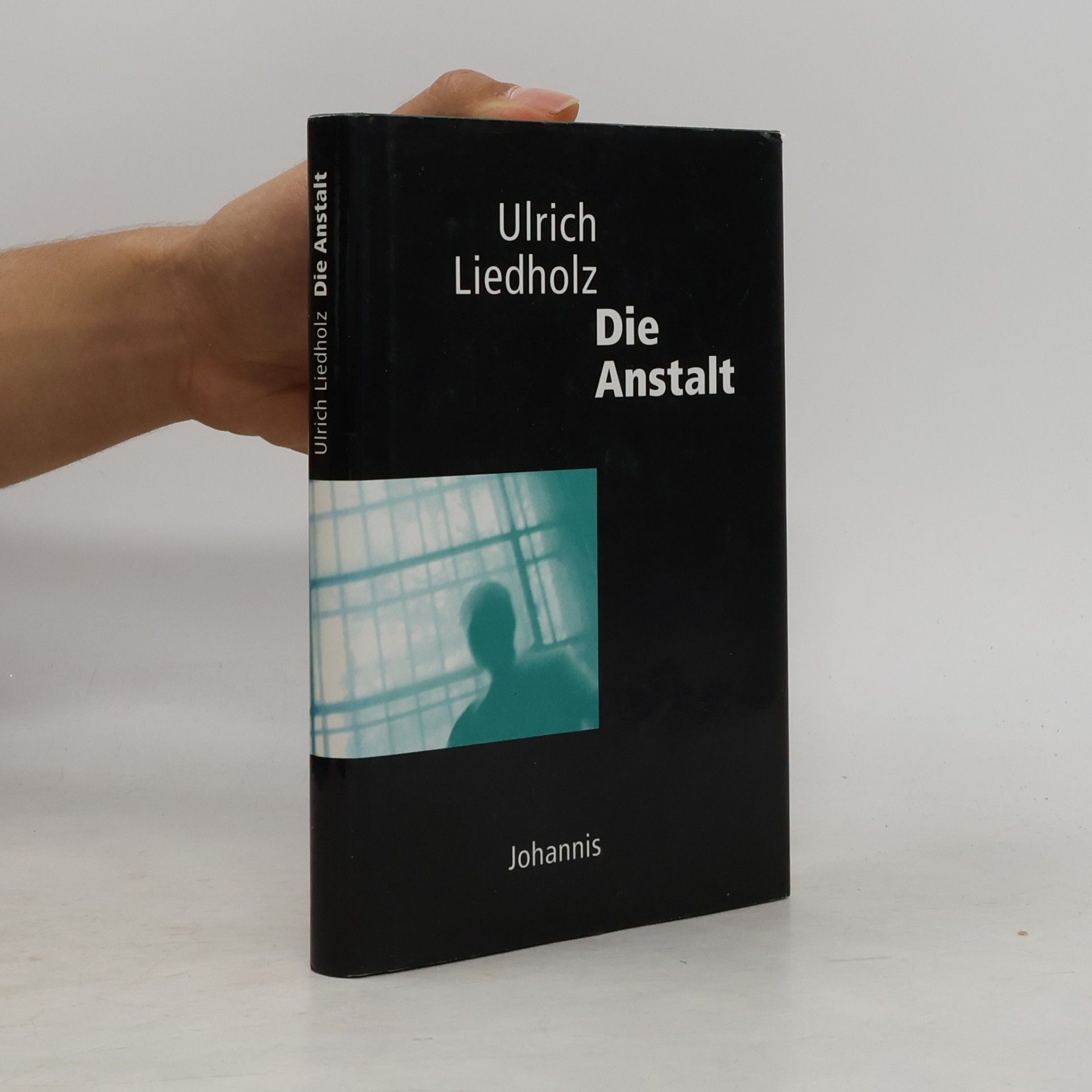 Ulrich Liedholz Die Anstalt