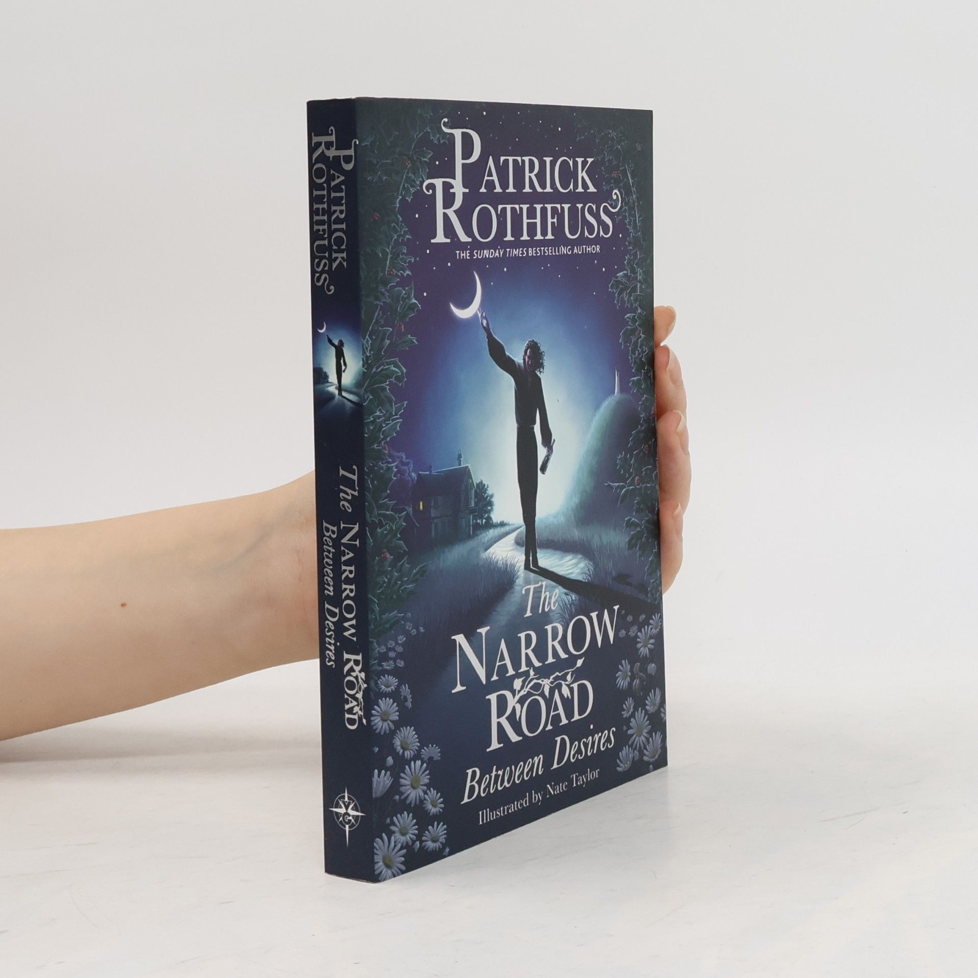Patrick Rothfuss The Narrow Road Between Desires