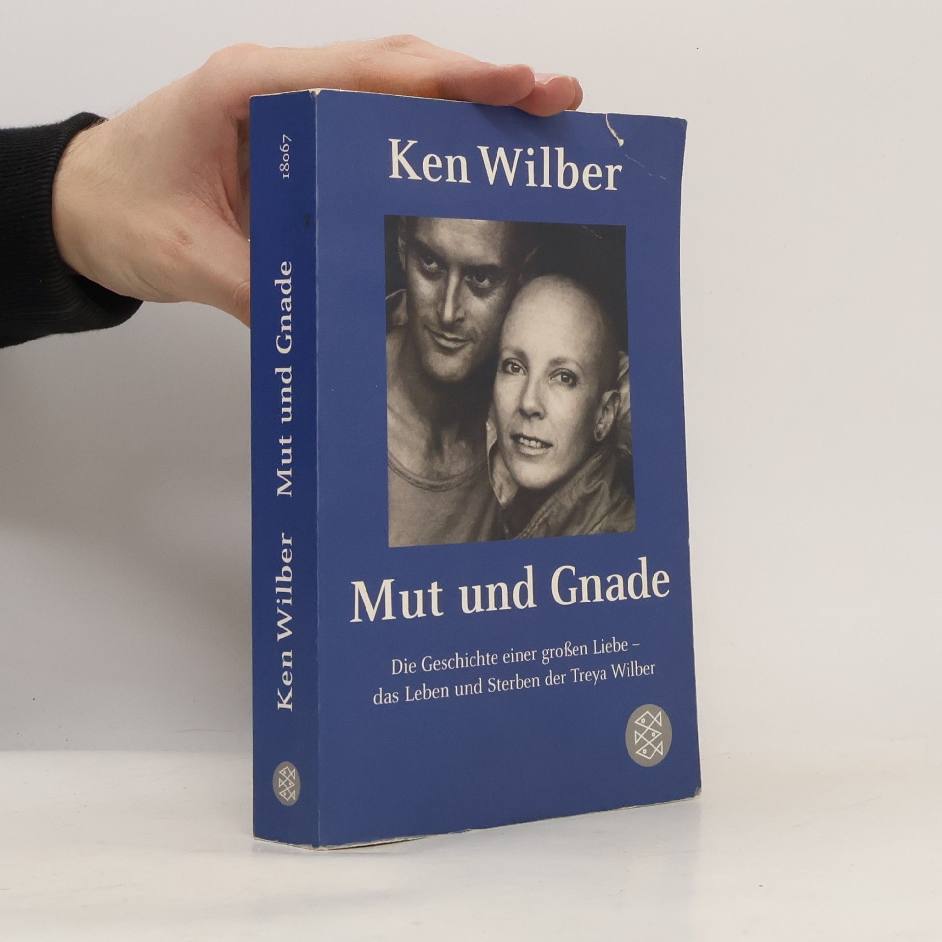 Ken Wilber Mut und Gnade