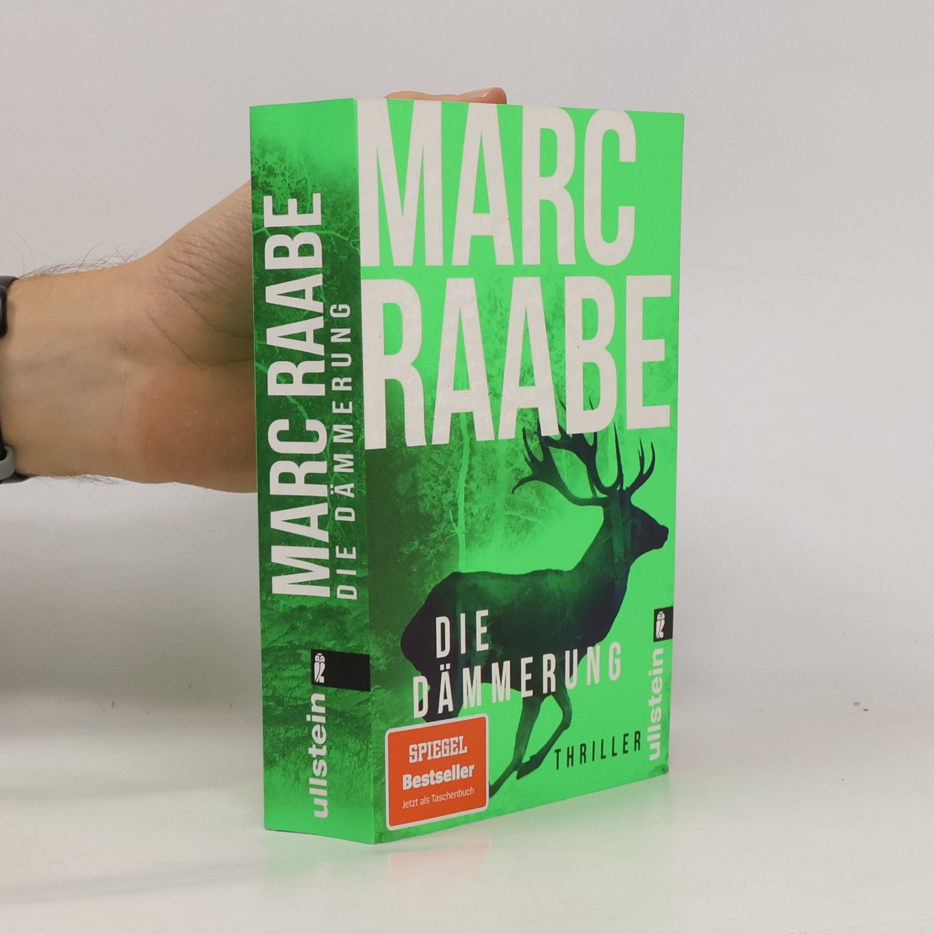 Marc Raabe Die Dämmerung