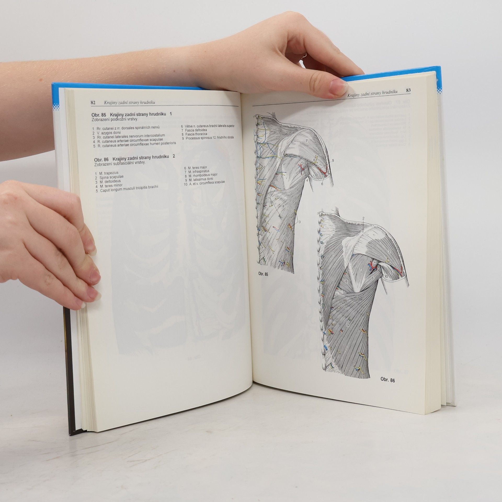Gerhard Spitzer Atlas topografické anatomie
