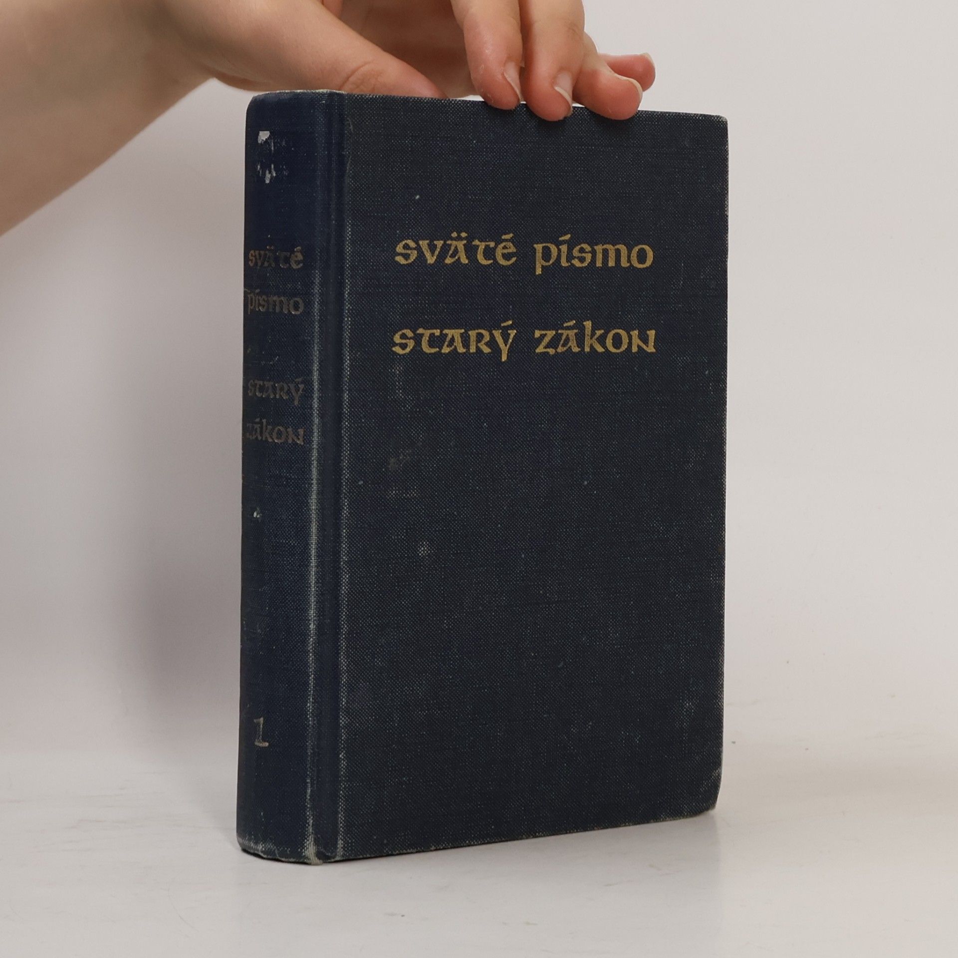 Kolektiv autorů Sväté Písmo - Starý zákon I