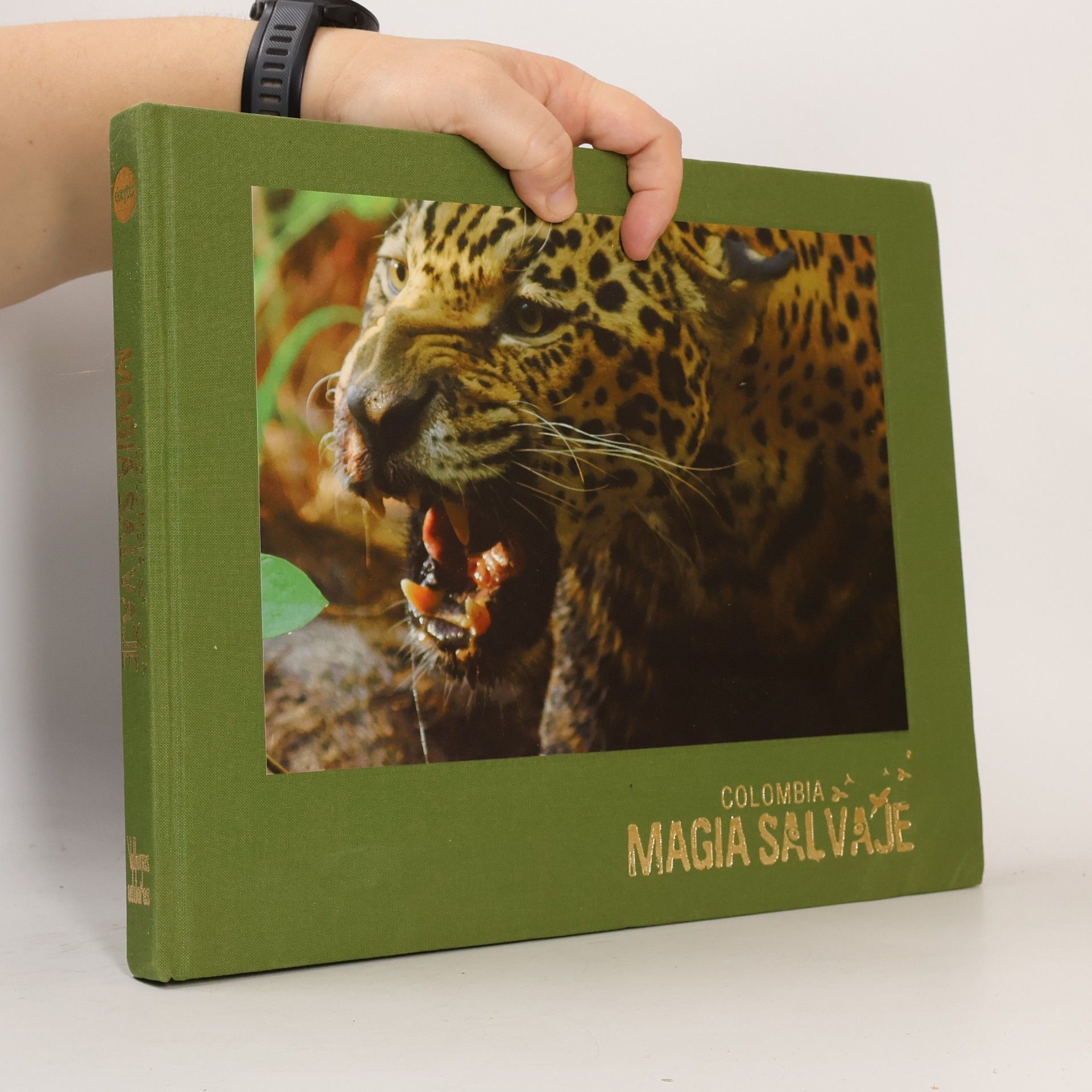 kolektiv Colombia Magia Salvaje