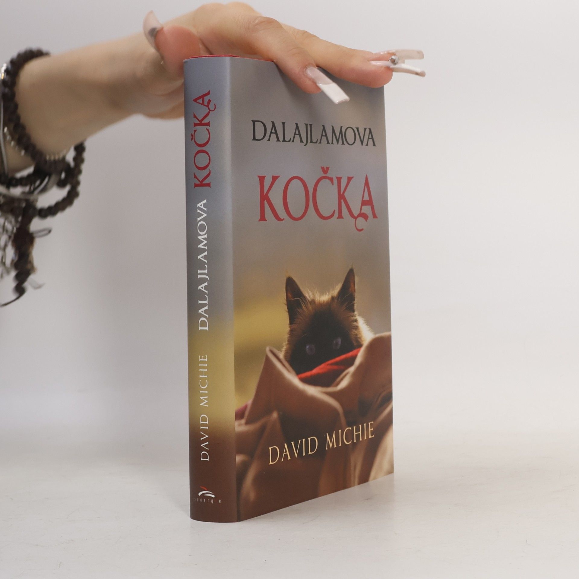 David Michie Dalajlamova kočka