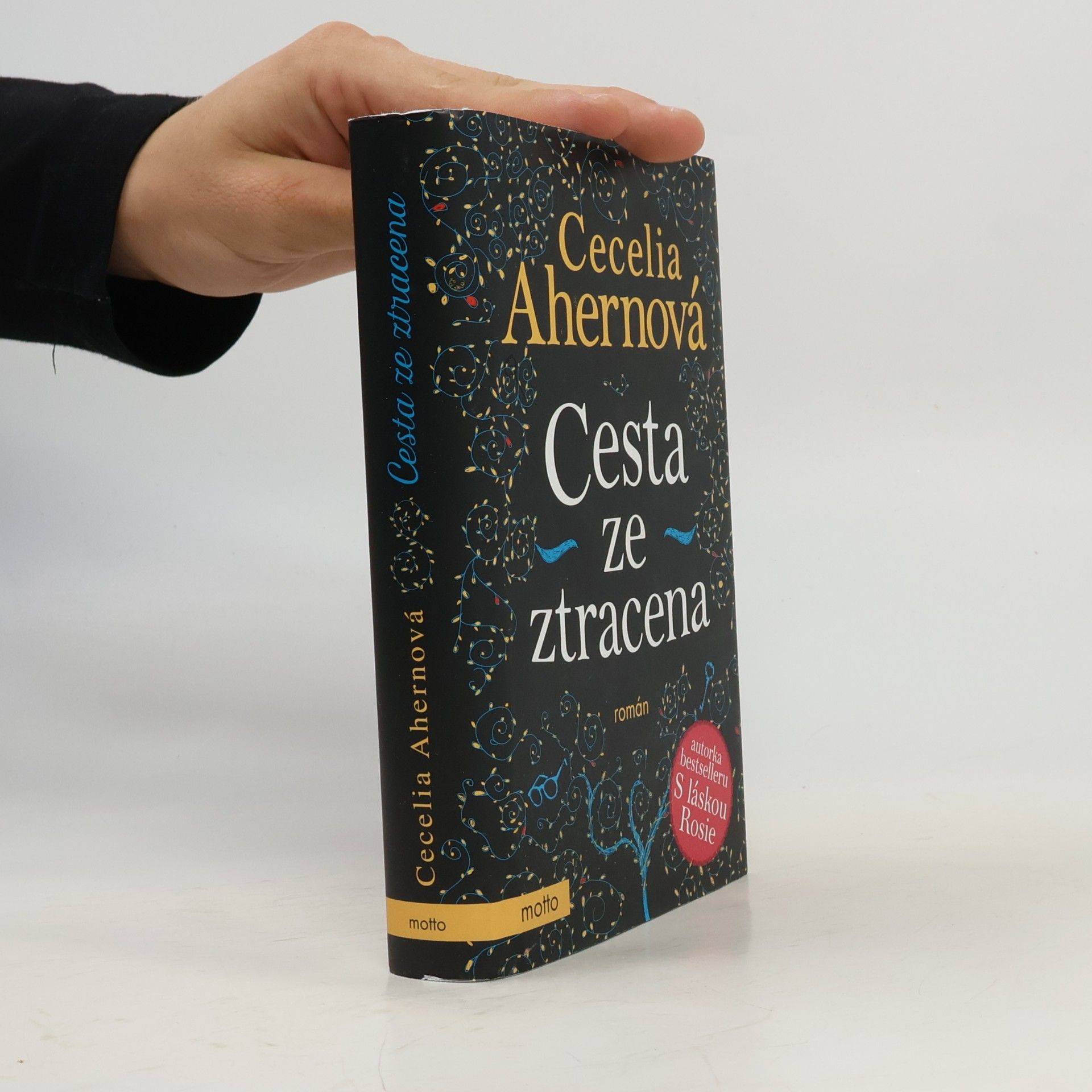 Cecelia Ahern Cesta ze ztracena