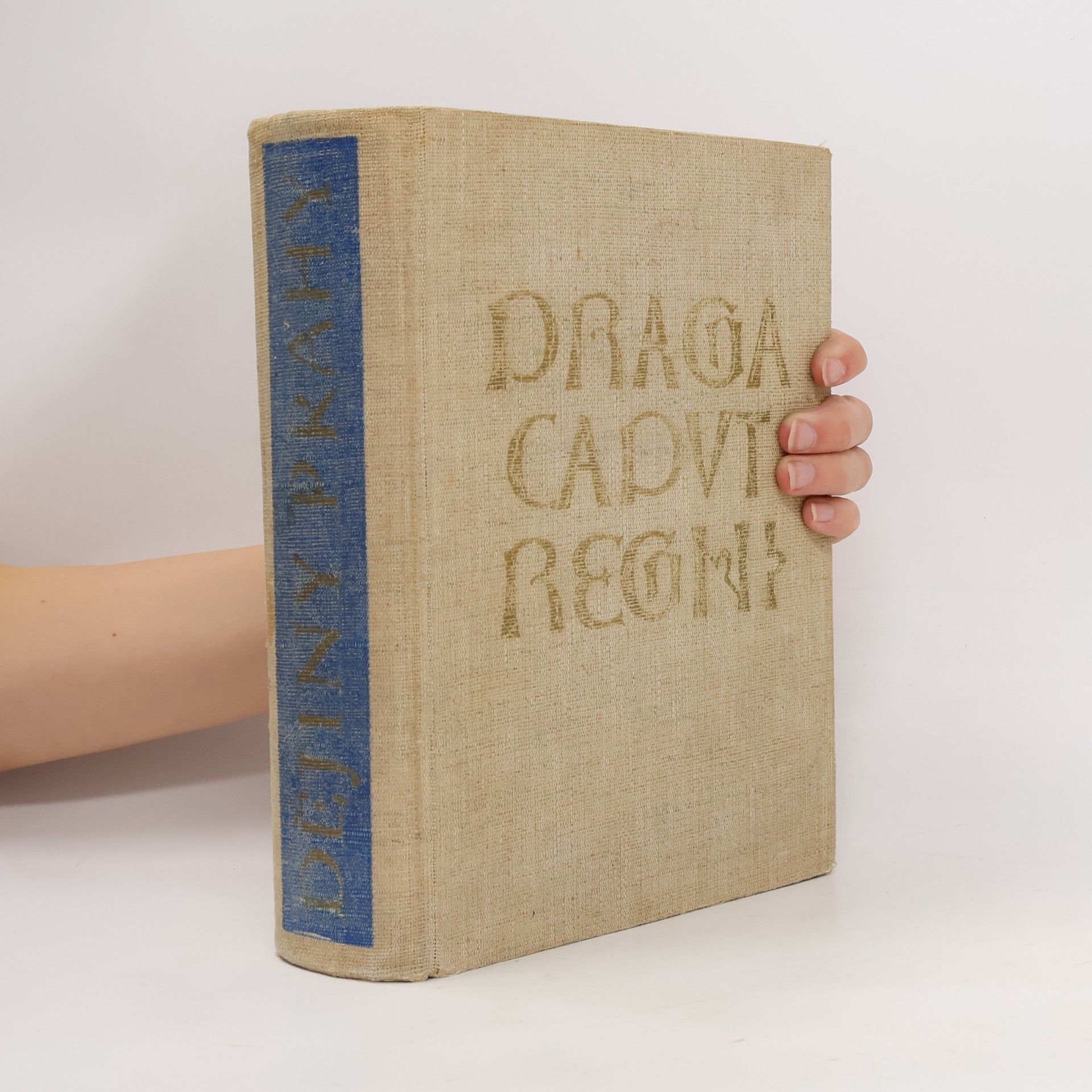 Various authors Dějiny Prahy