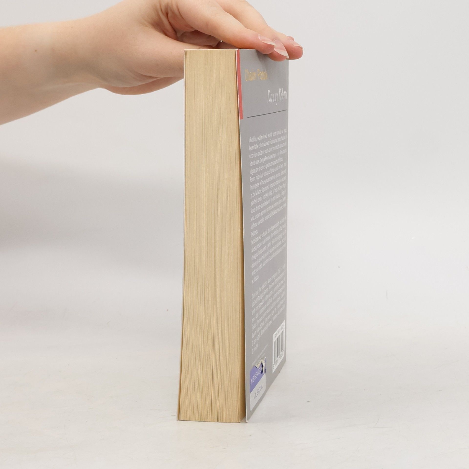 Chaim Potok Danny l'eletto