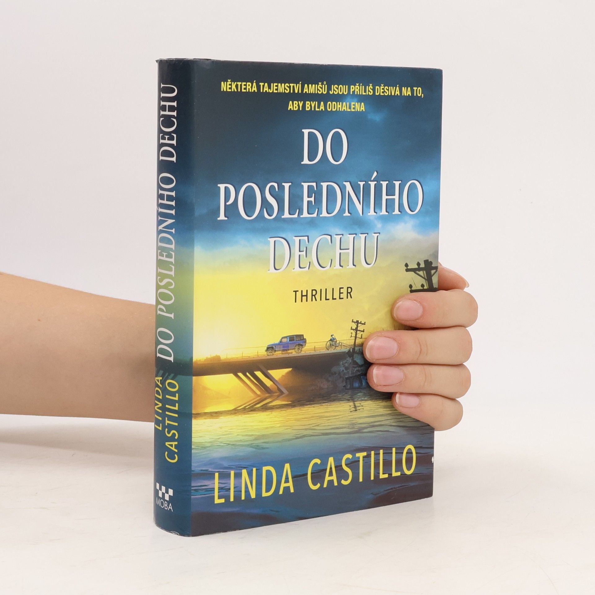 Linda Castillo Do posledního dechu