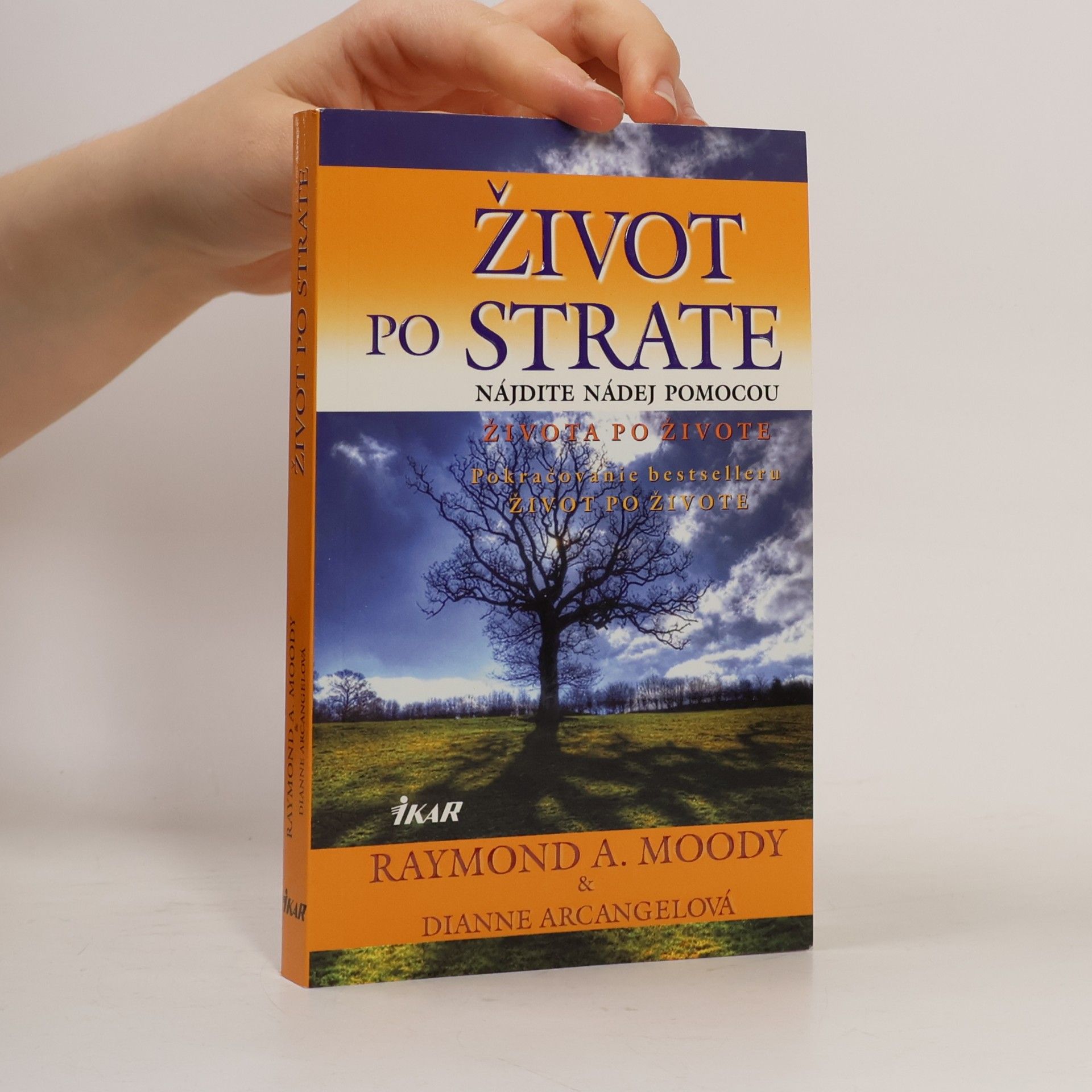 Raymond Moody Život po strate