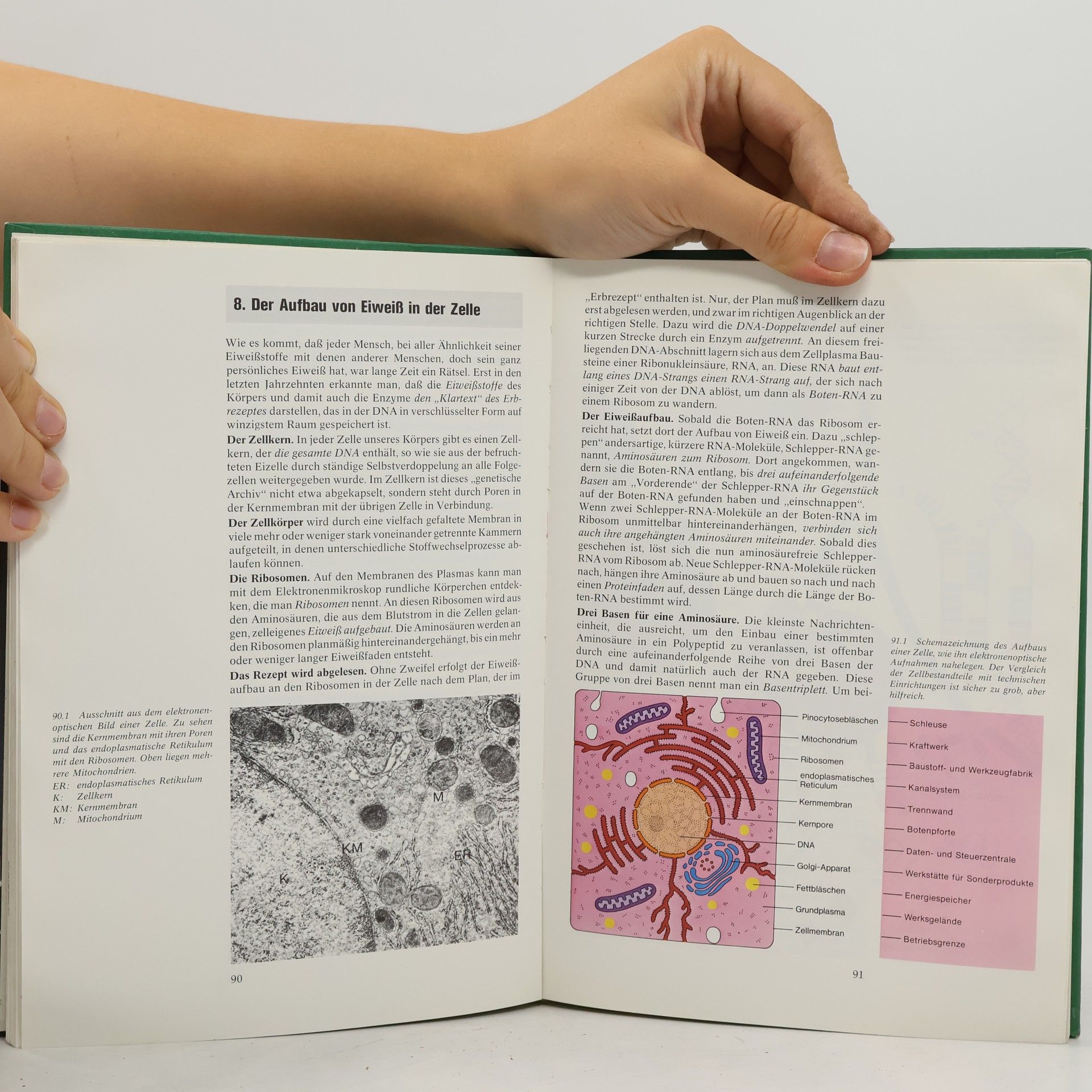 kolektiv Humanbiologie