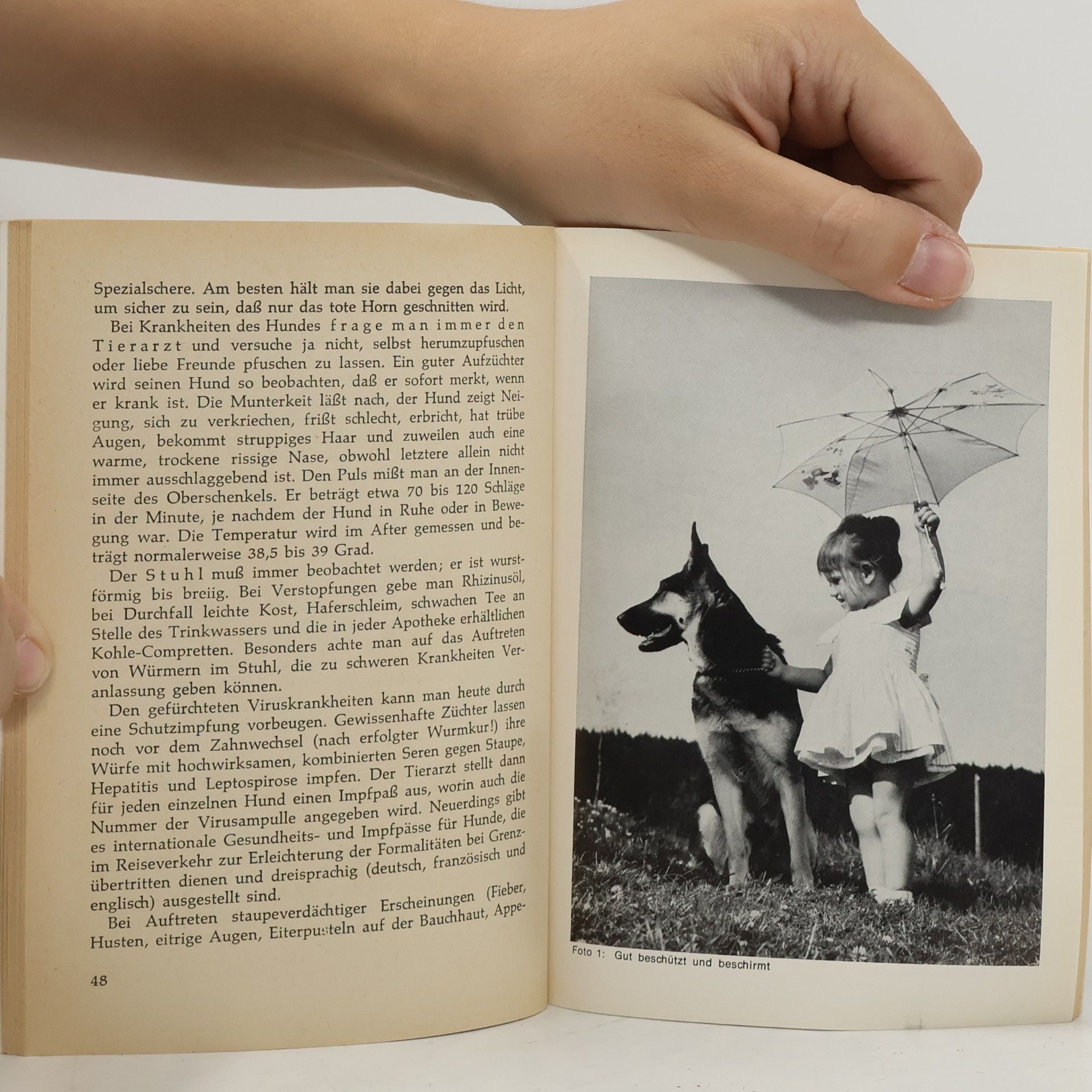 Herta von Stephanitz Der deutsche Schäferhund