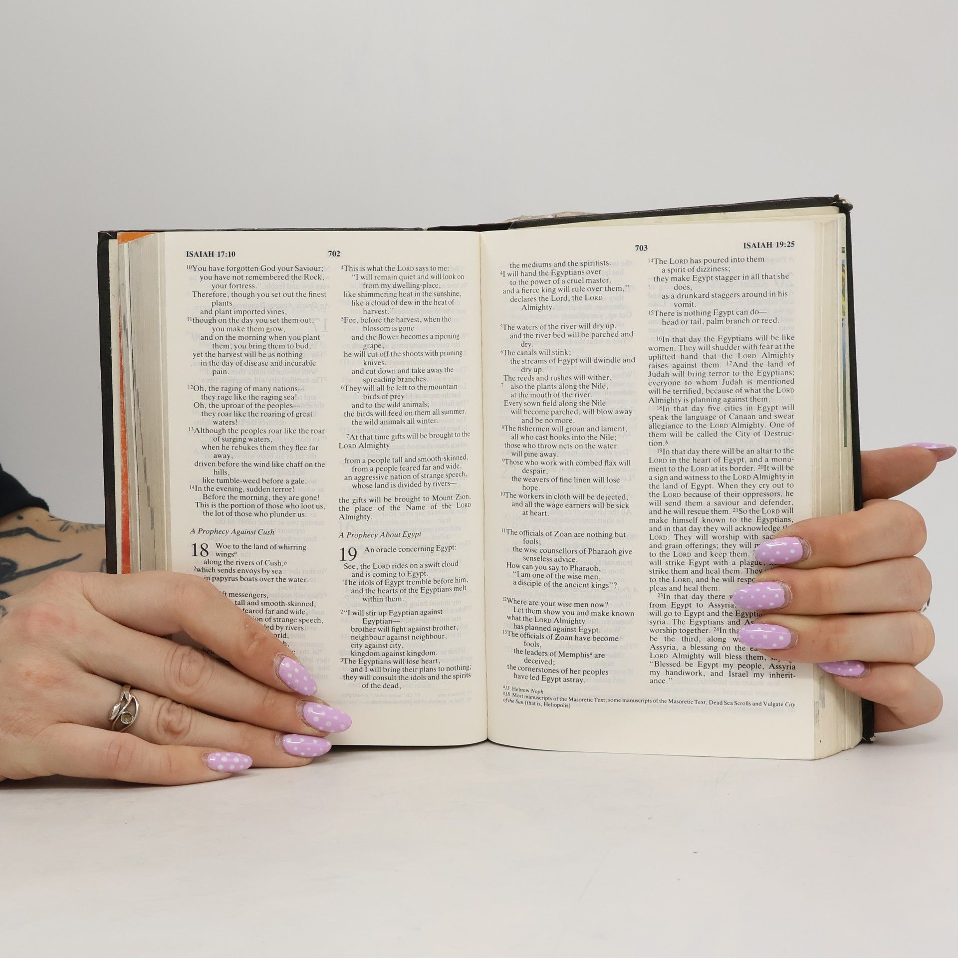 International Bible Society New life Holy Bible: New International version : with colour features.