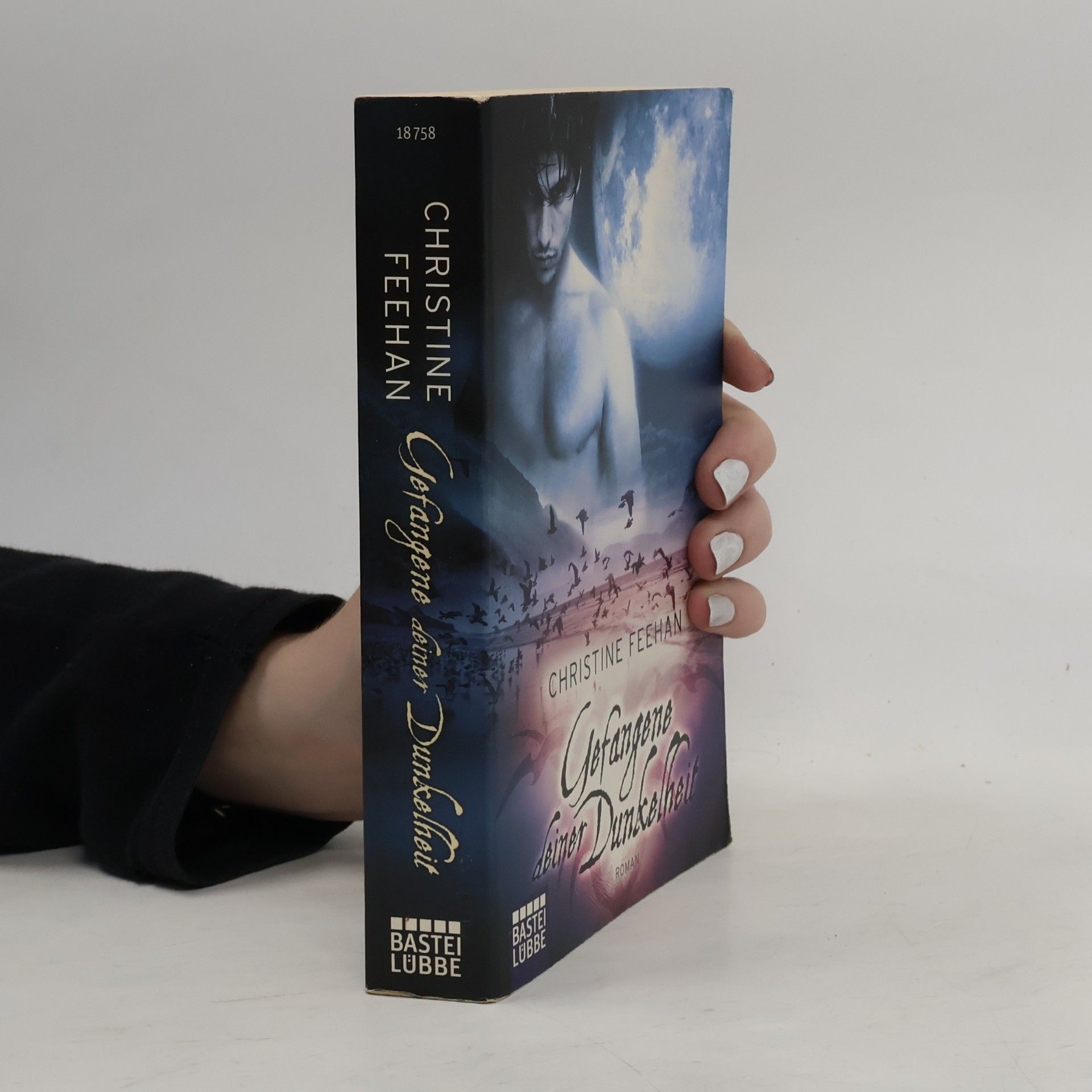 Christine Feehan Gefangene deiner Dunkelheit