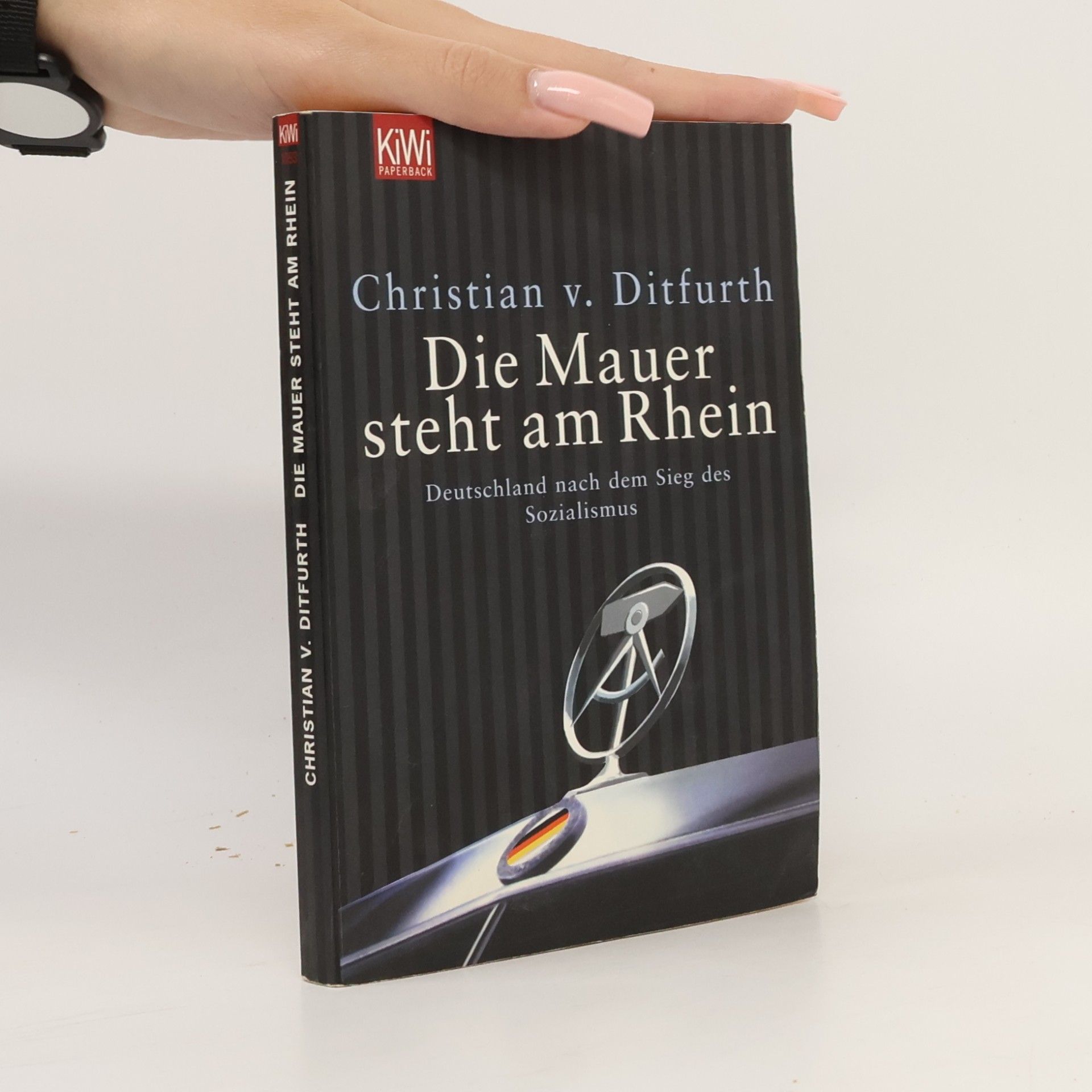 Die Mauer steht am Rhein