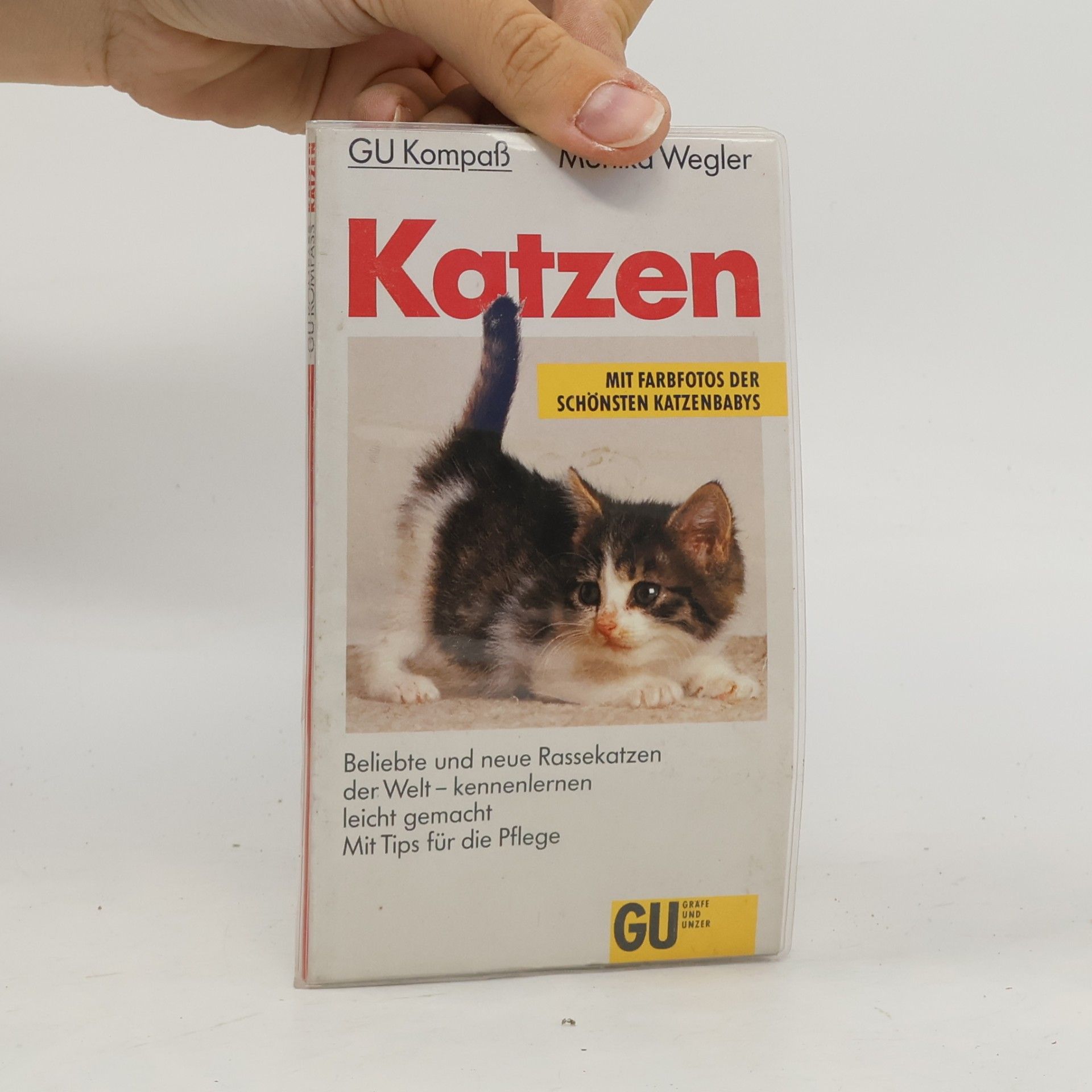 Katrin Behrend Katzen