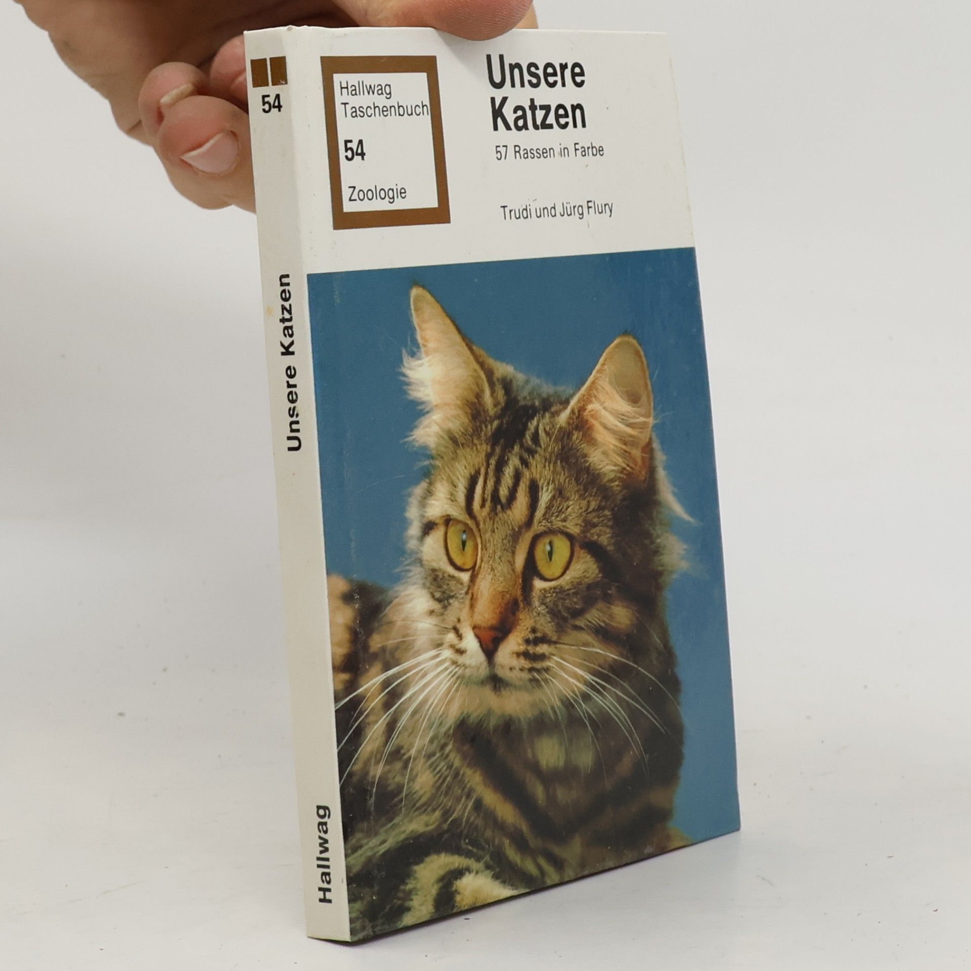 Trudi Flury Unsere Katzen