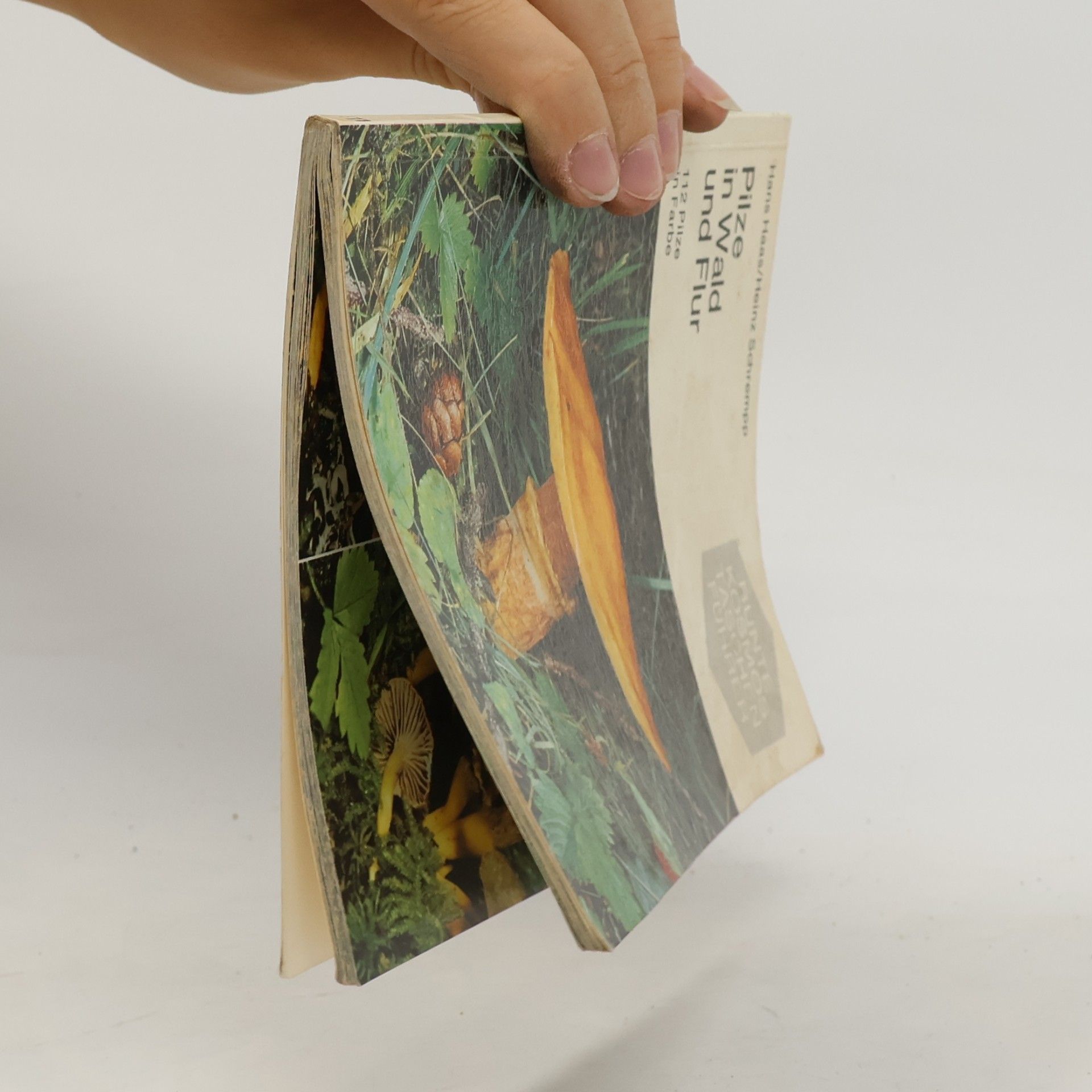 Hans Haas Pilze in Wald und Flur