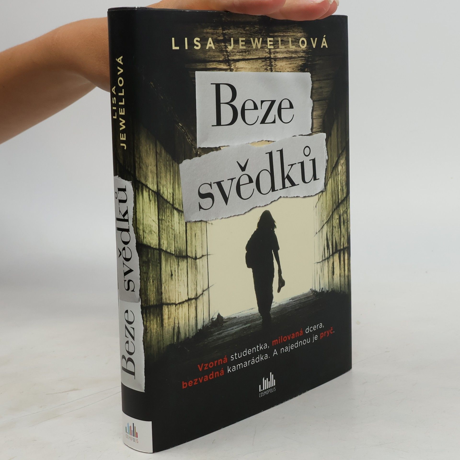 Lisa Jewell Beze svědků