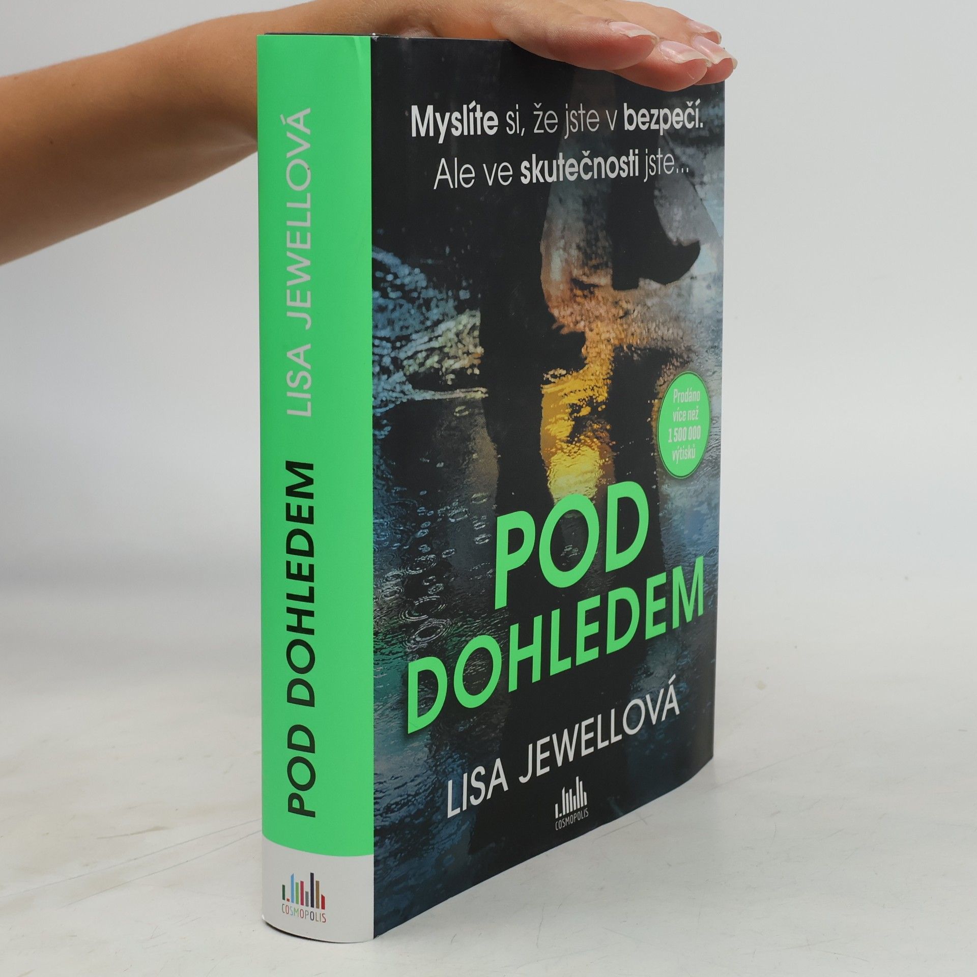 Lisa Jewell Pod dohledem