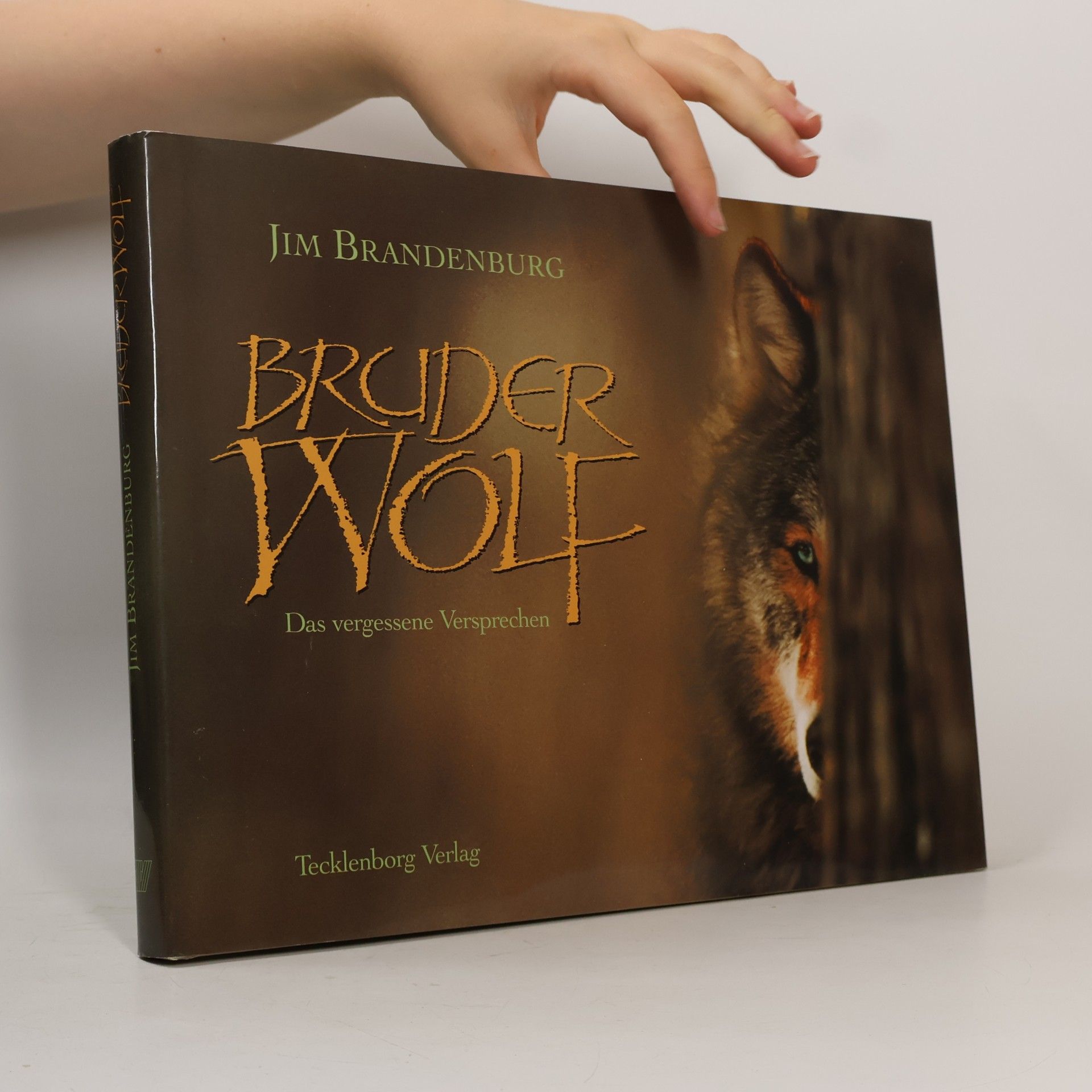 Jim Brandenburg Bruder Wolf