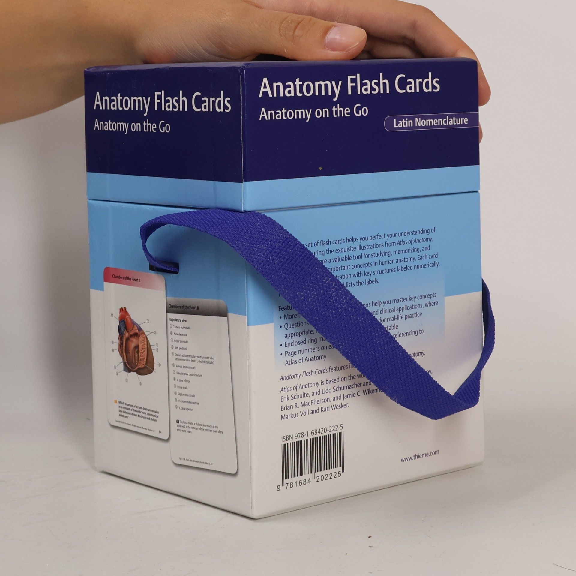 Anne M. Gilroy Anatomy Flash Cards, Latin Nomenclature