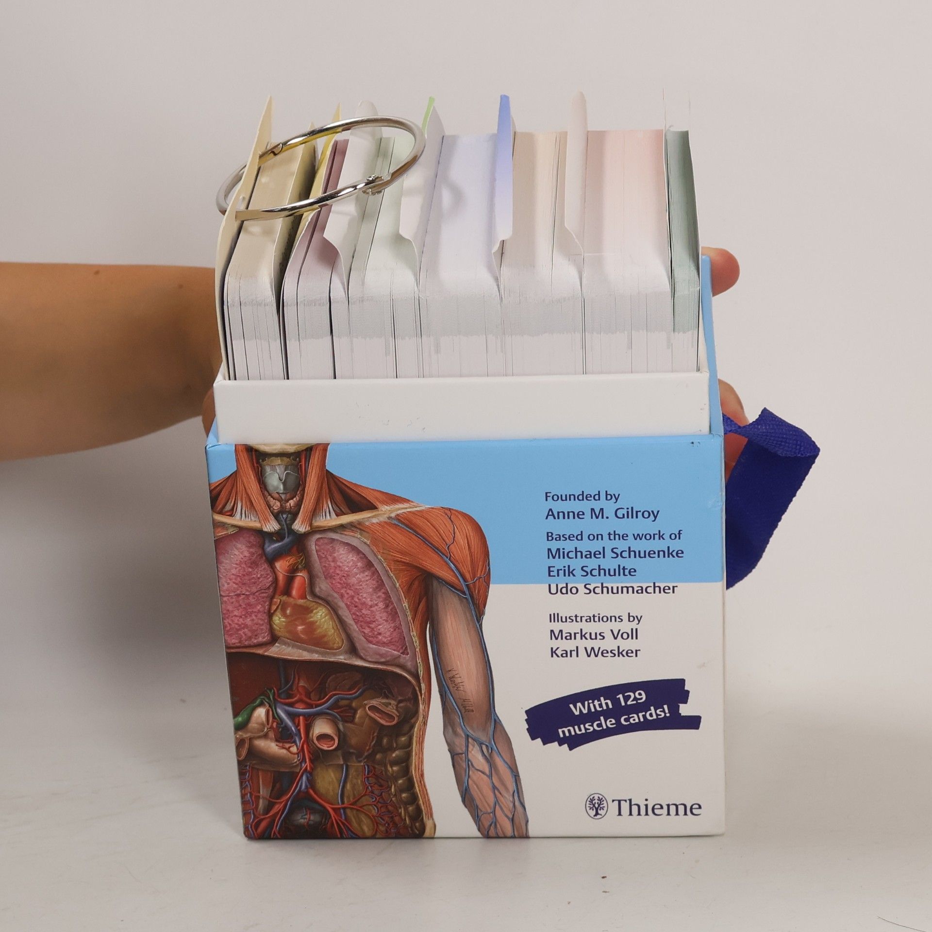 Anne M. Gilroy Anatomy Flash Cards, Latin Nomenclature