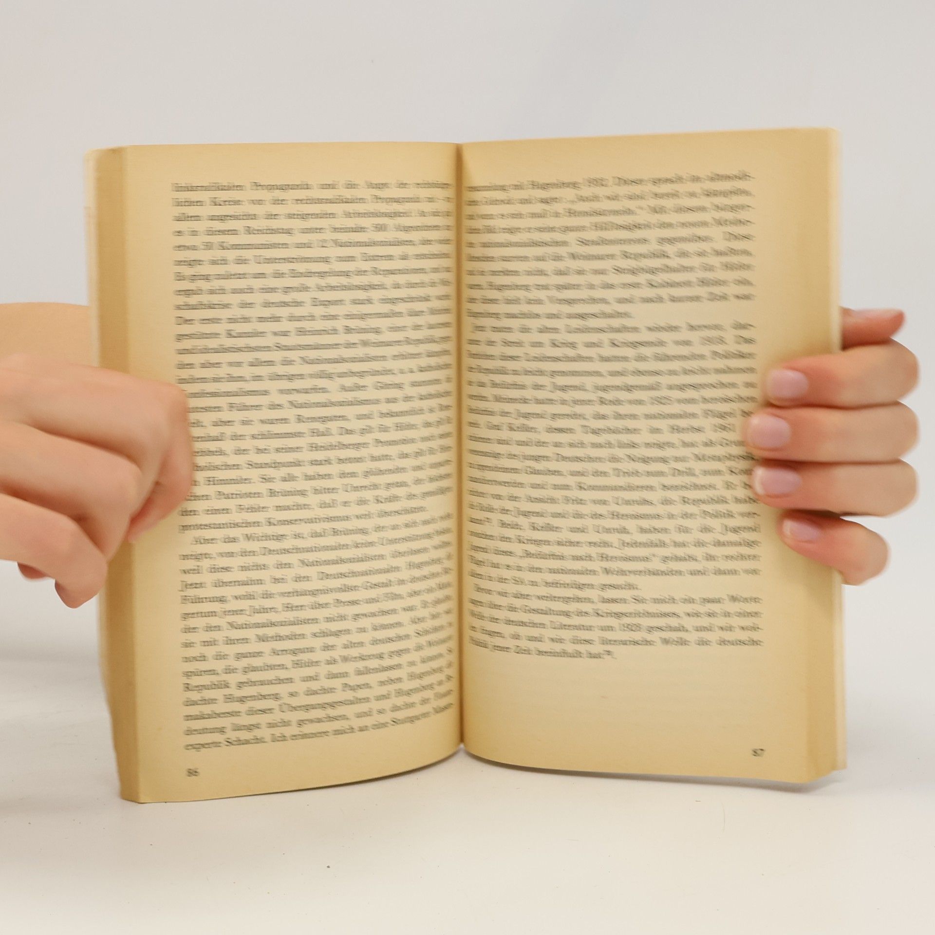 Fritz Ernst Die Deutschen und ihre jüngste Geschichte