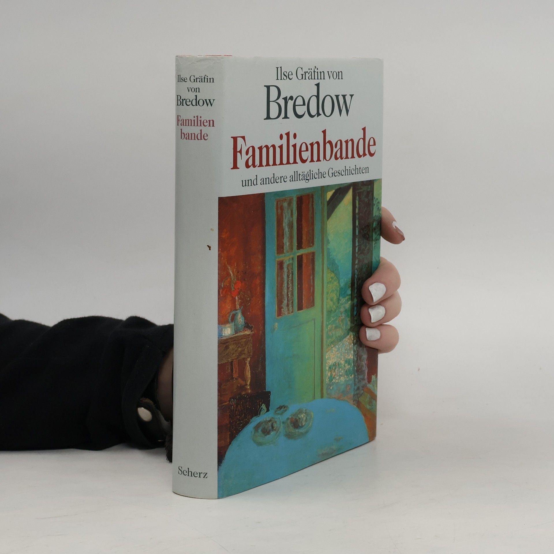 Ilse von Bredow Familienbande und andere alltägliche Geschichten