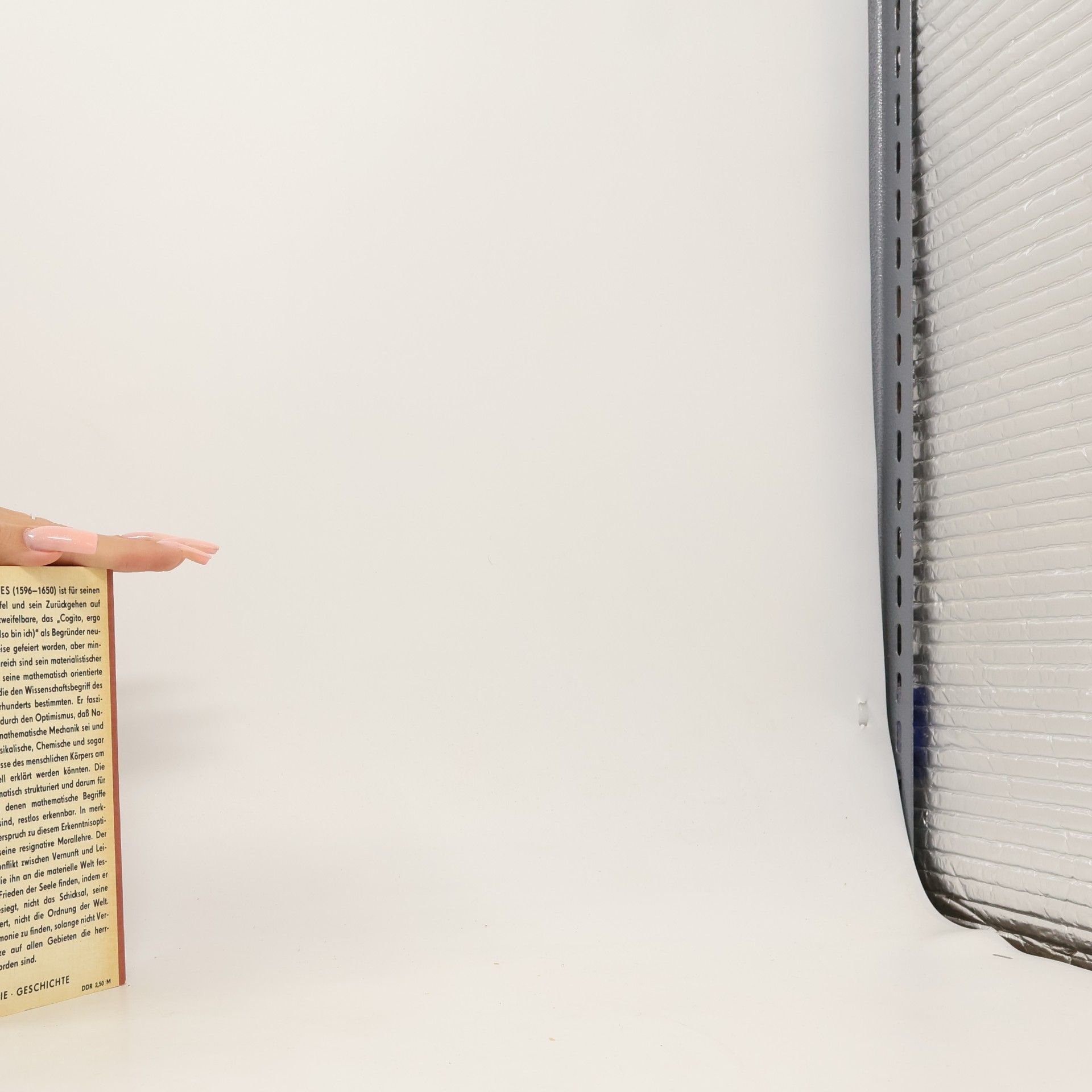 René Descartes Ausgewählte Schriften